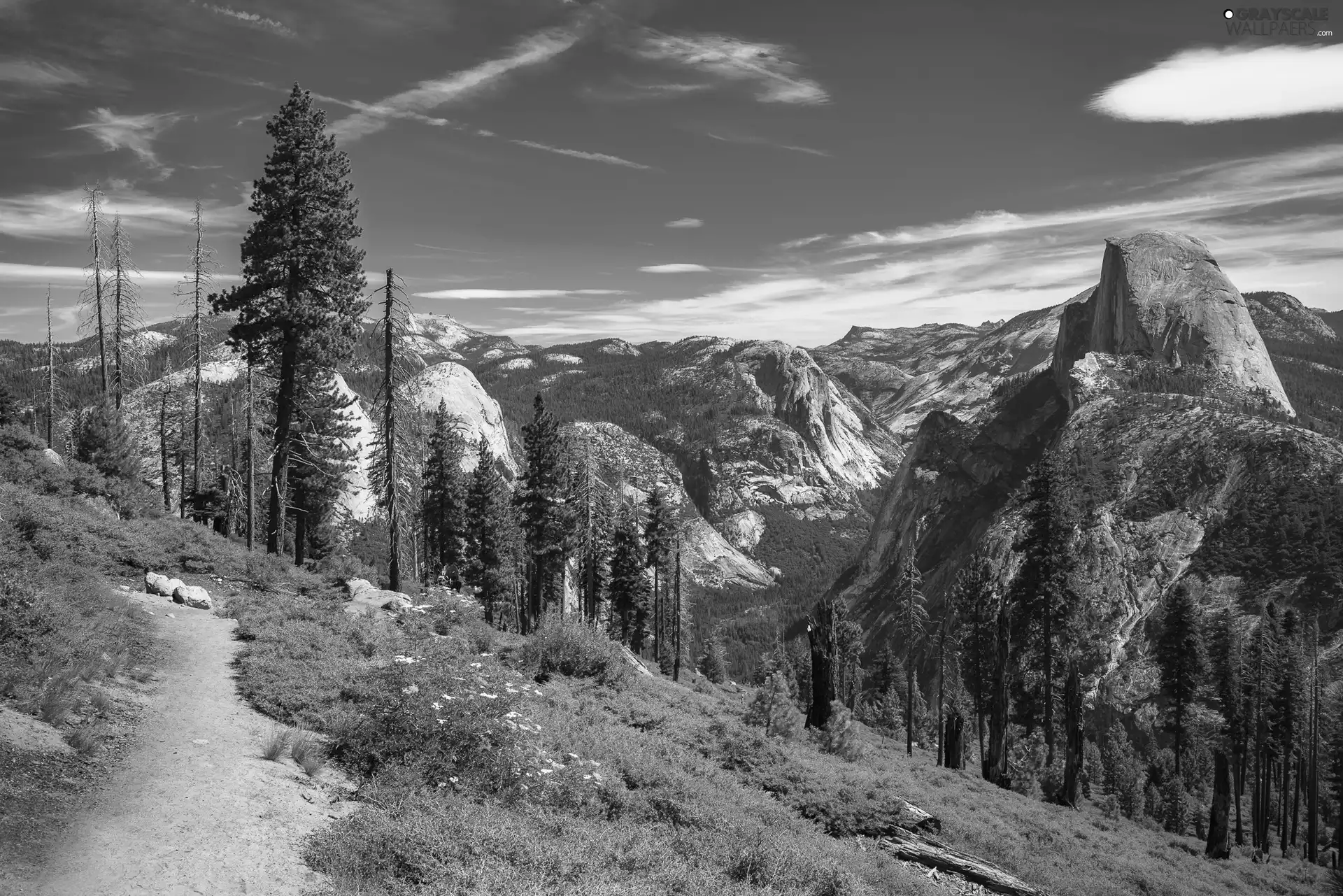 Yosemite National Park, Path, The United States, trees, California, Sierra Nevada, Mountains, viewes