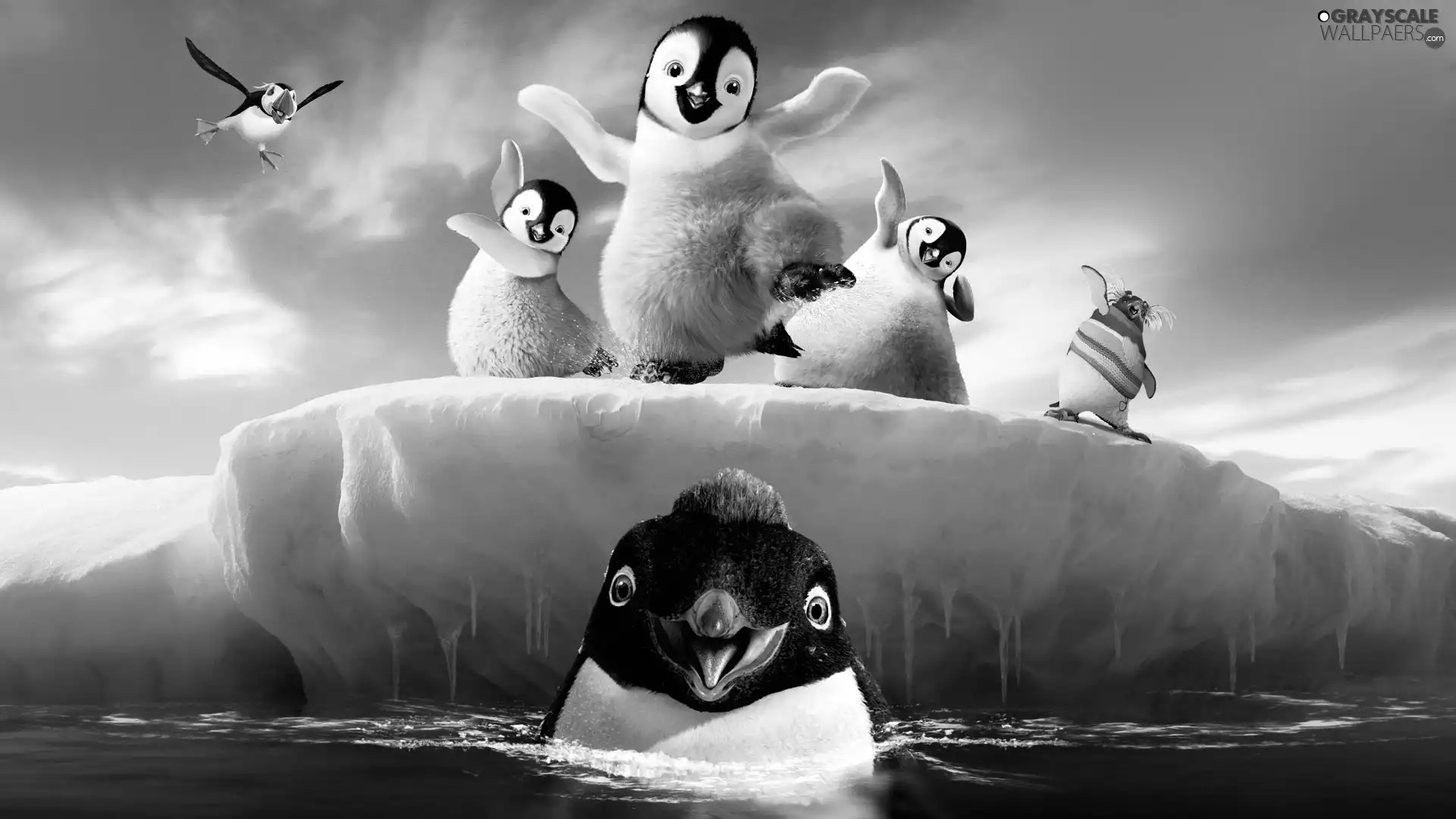 Icecream, Happy Feet, Happy Feet, penguin