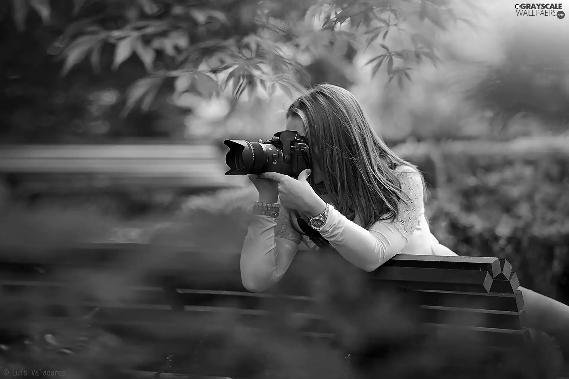 photographic, Bench, Women, Camera, autumn