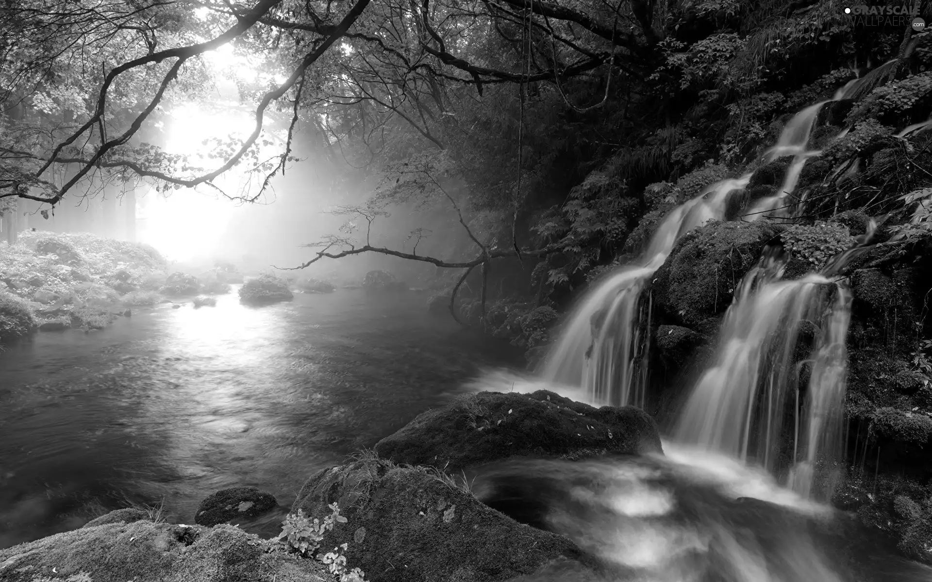 Fog, mossy, viewes, Stones, waterfall, trees, branch pics