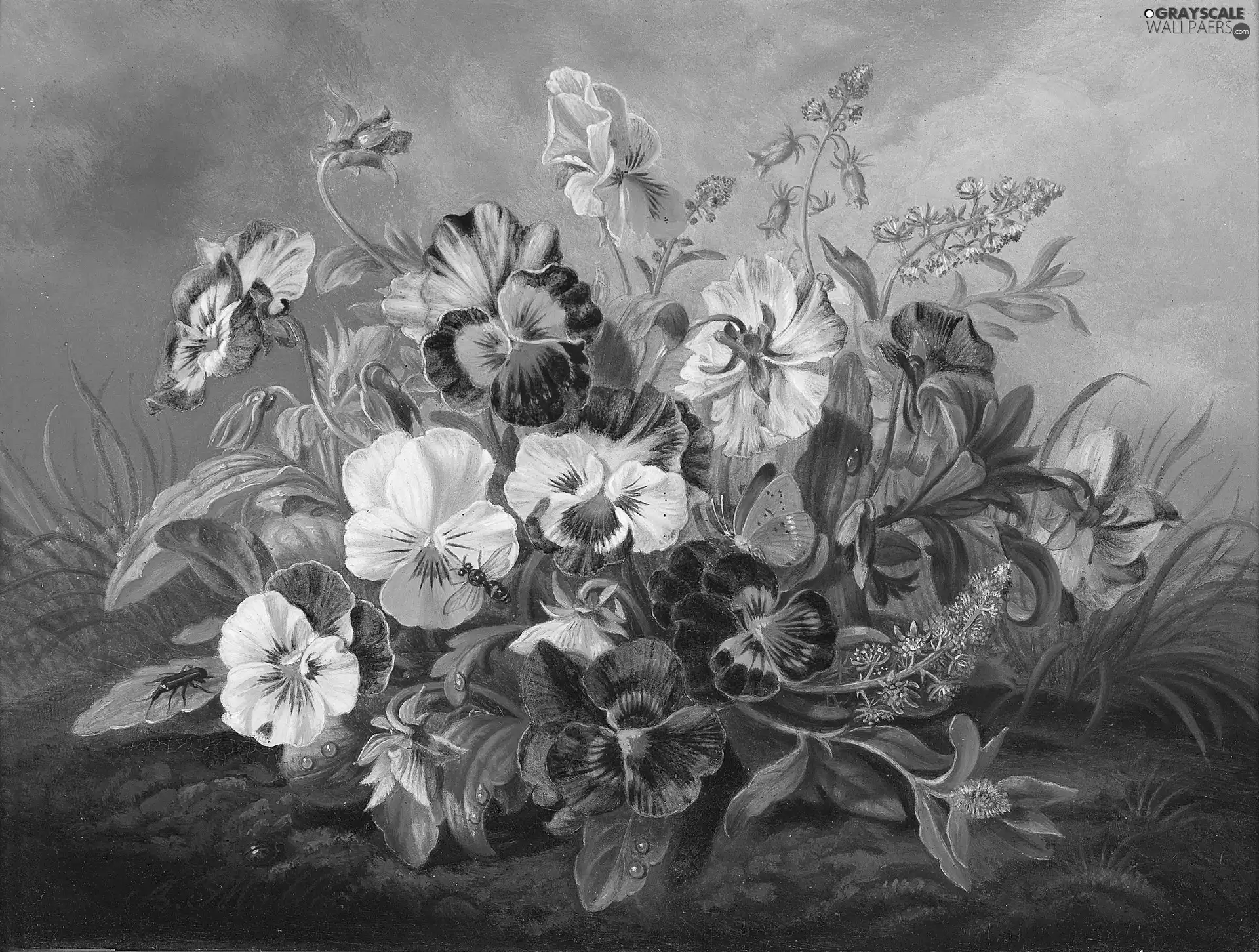 picture, pansies, bouquet