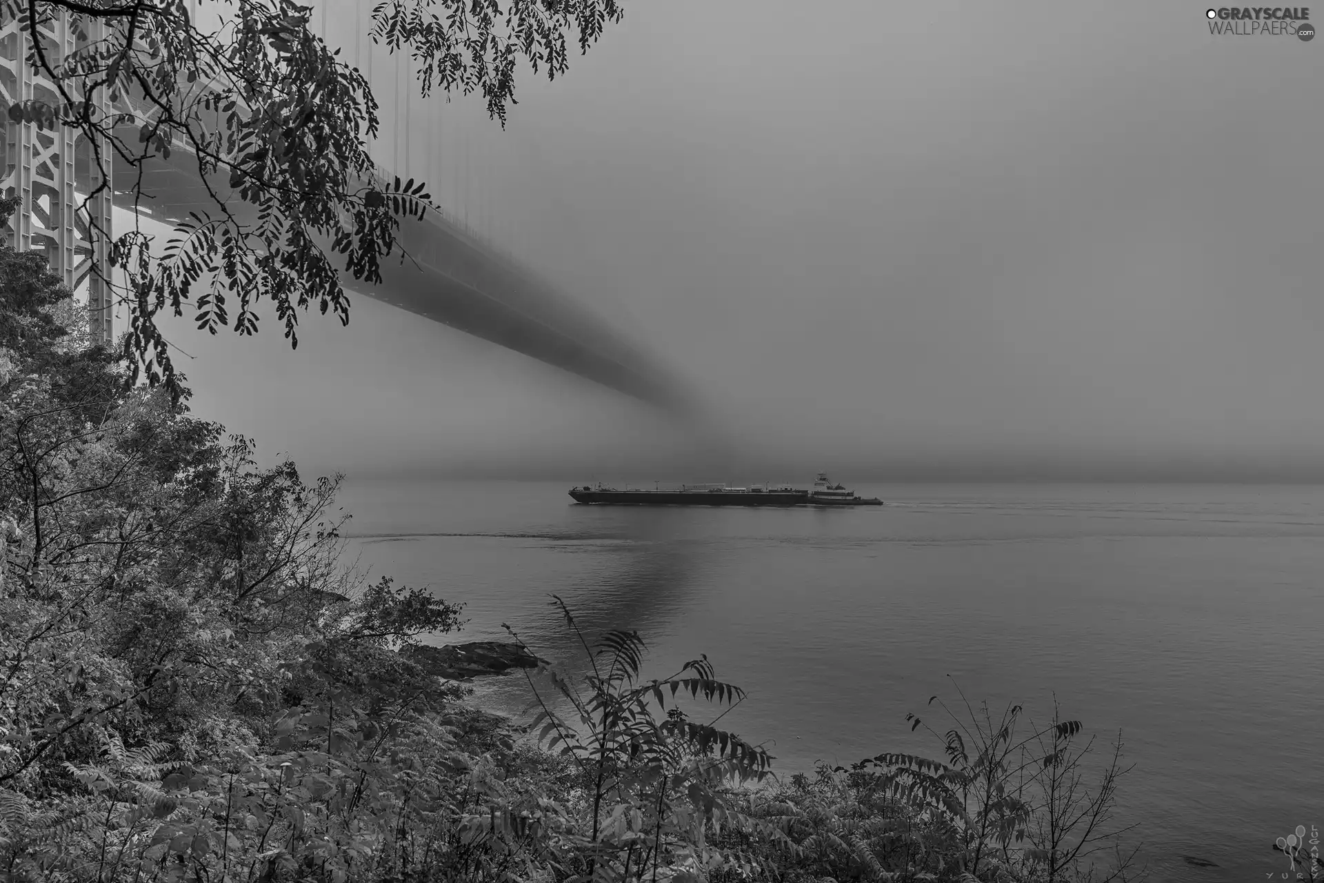 Fog, Plants, Ship, bridge, River