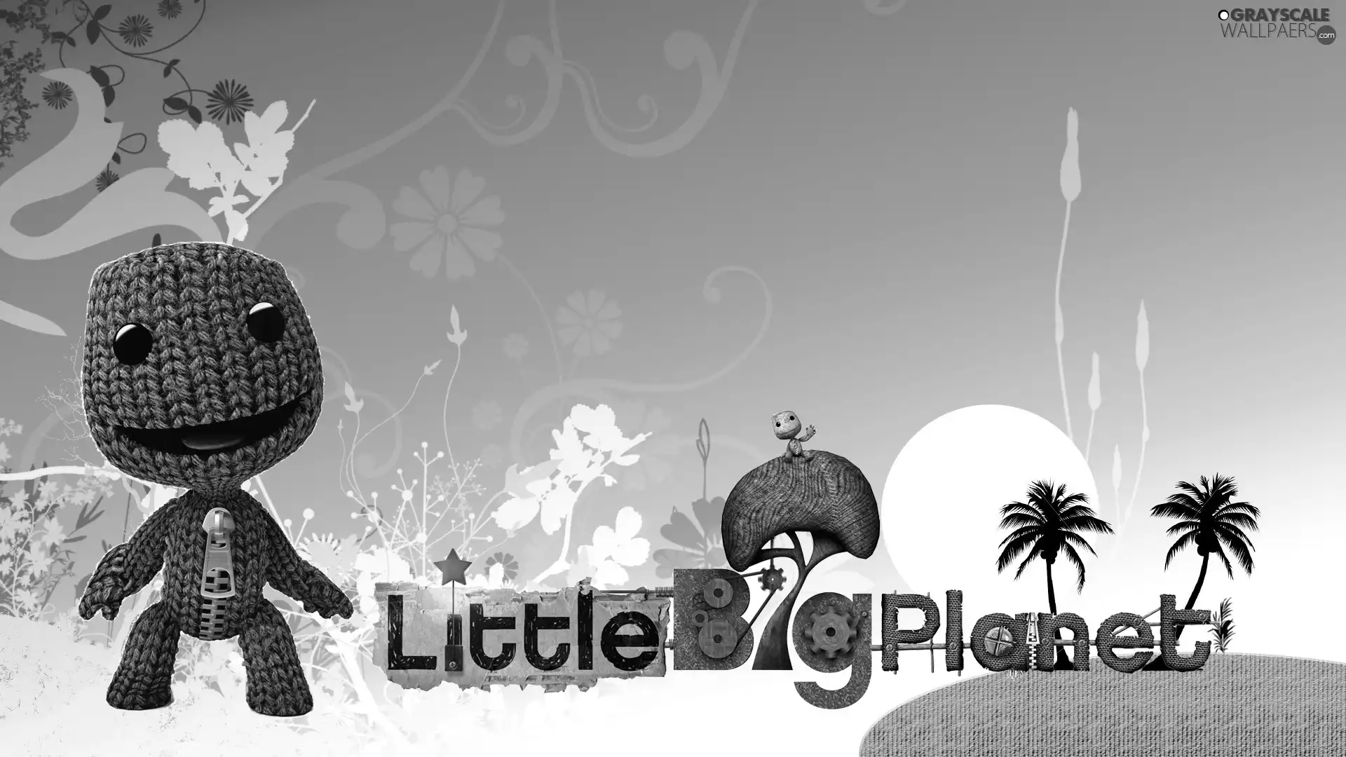 LittleBigPlanet, Platform