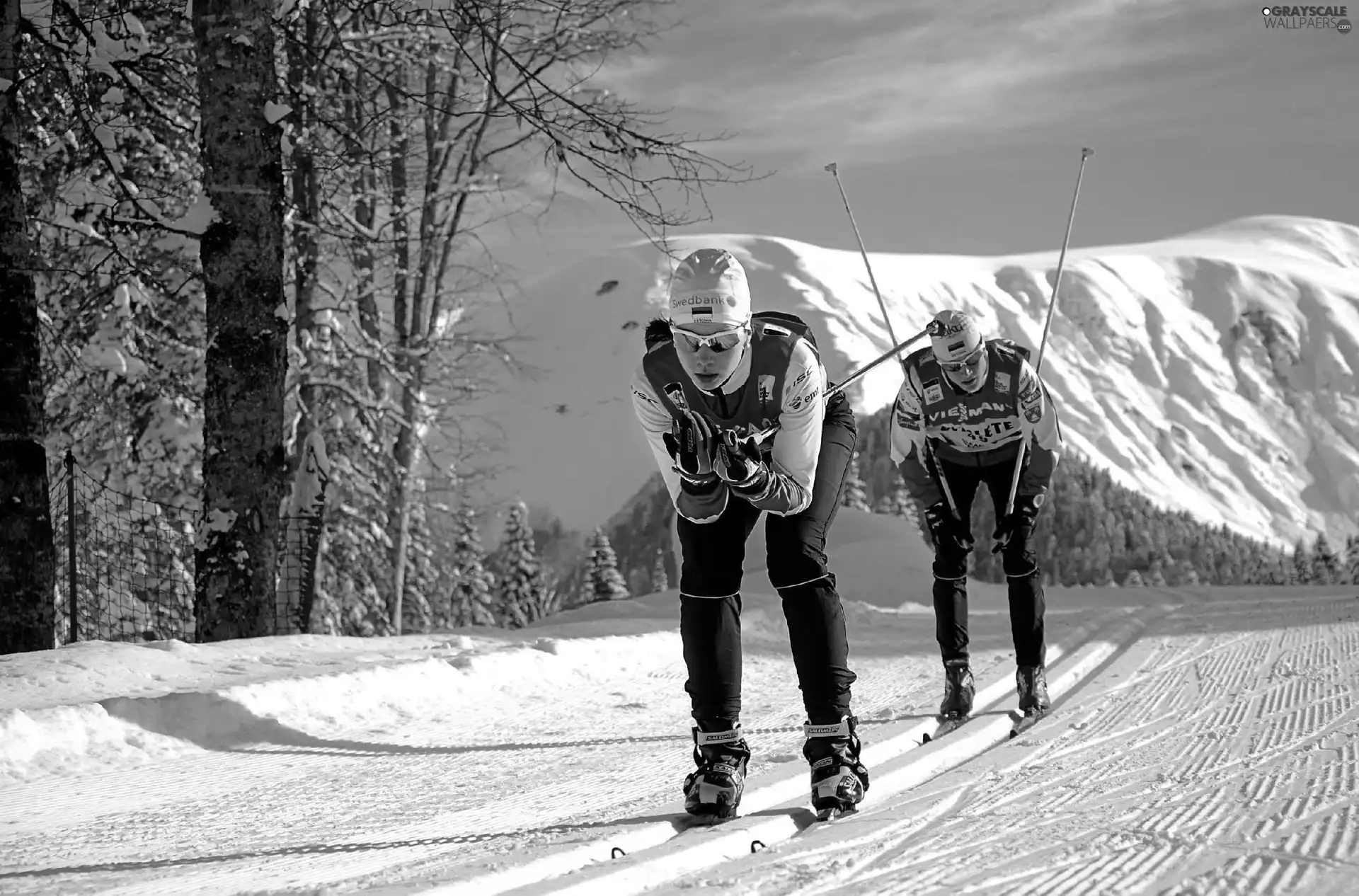 skis, Sochi 2014, players