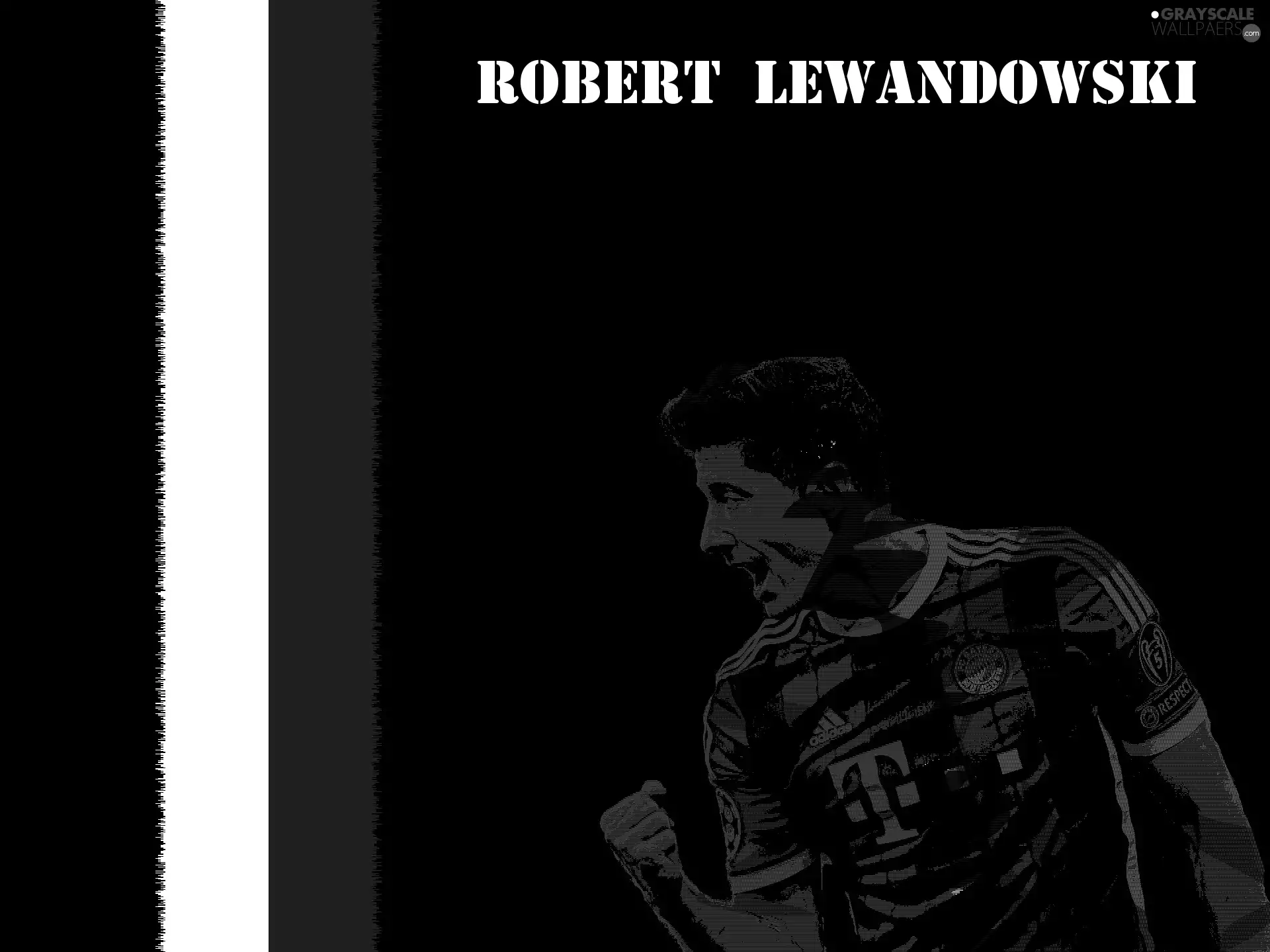 Poland, Soccer, Left, Bayern, Robert Lewandowski