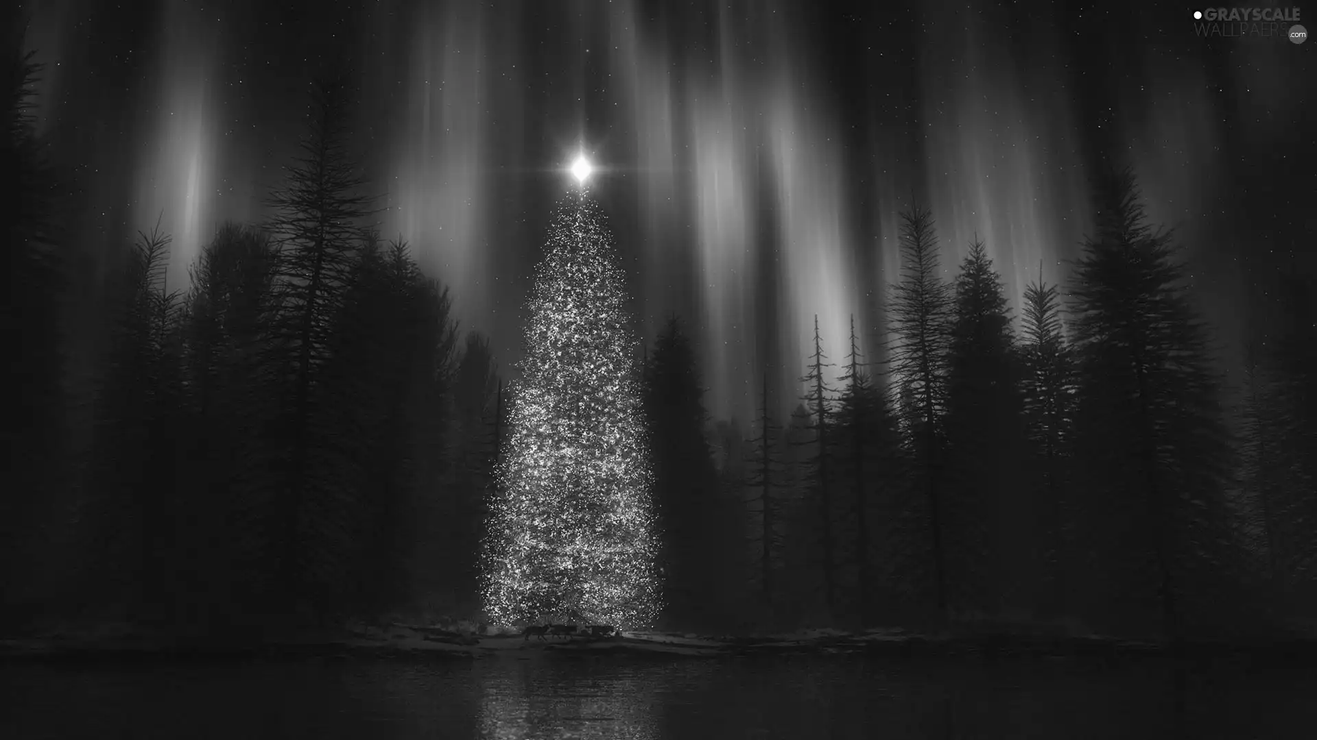 aurora polaris, star, christmas tree, forest, festively decorated