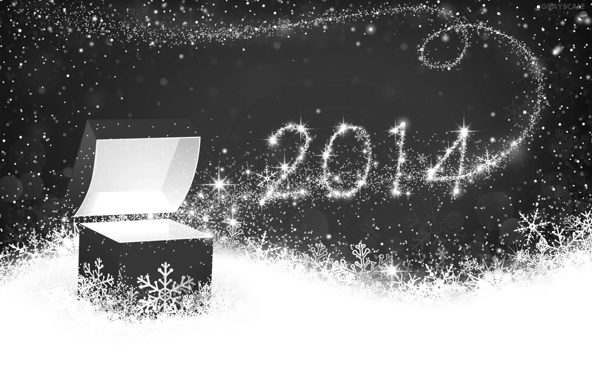 New Year 2014, Present