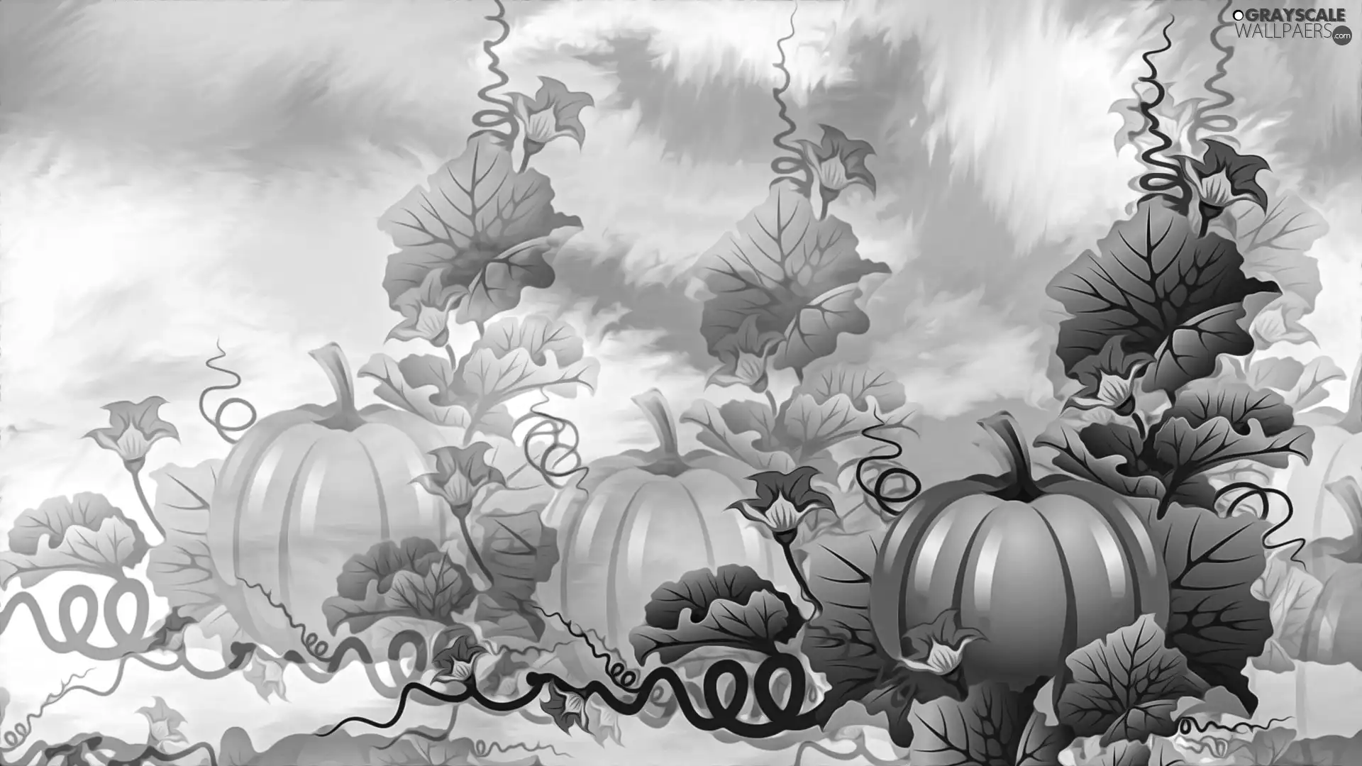 graphics, leaves, Flowers, pumpkin