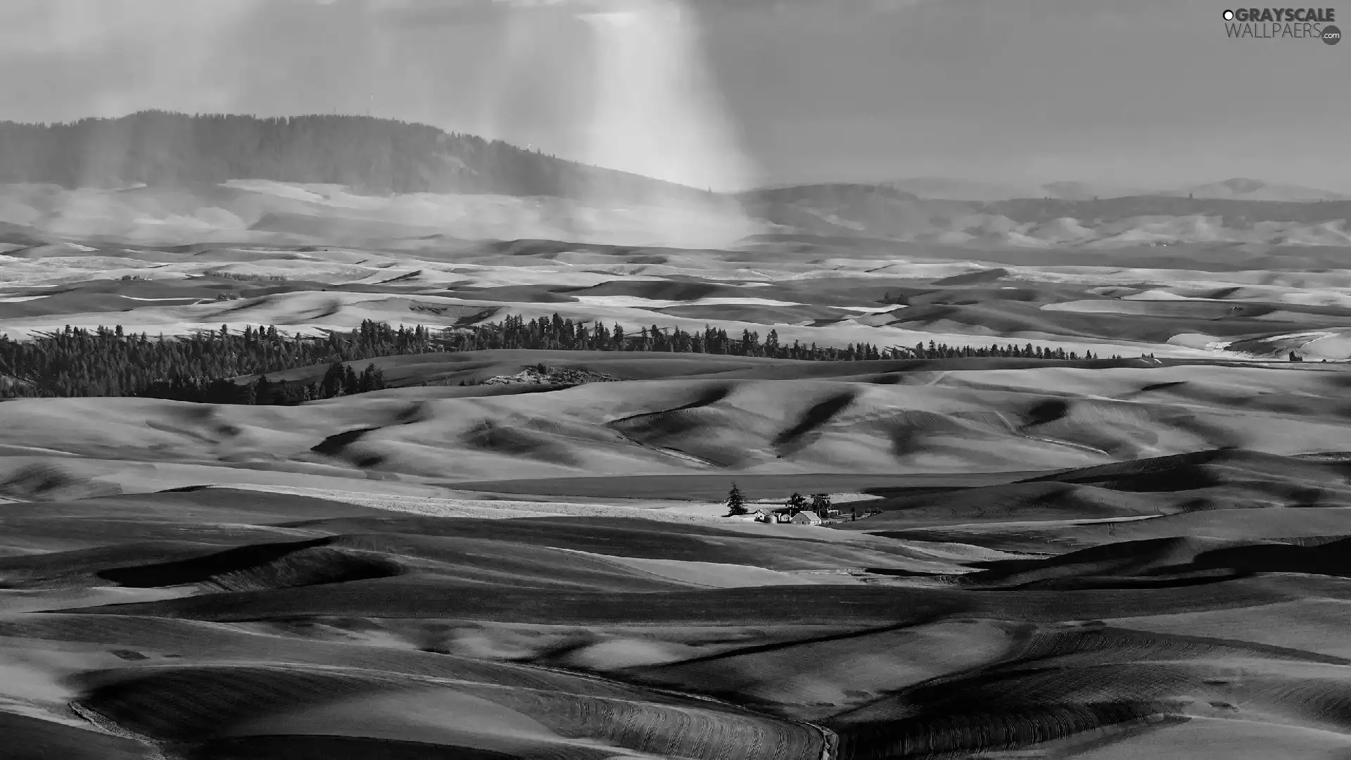 trees, Mountains, Great Rainbows, Palouse, viewes, Valley