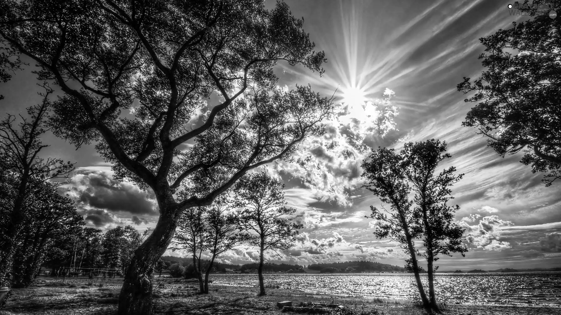 viewes, lake, rays, sun, clouds, trees