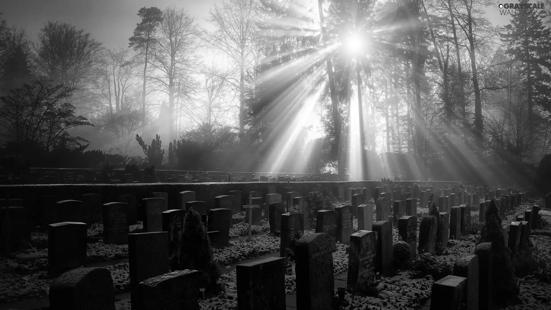 rays, sun, cemetery, winter, german