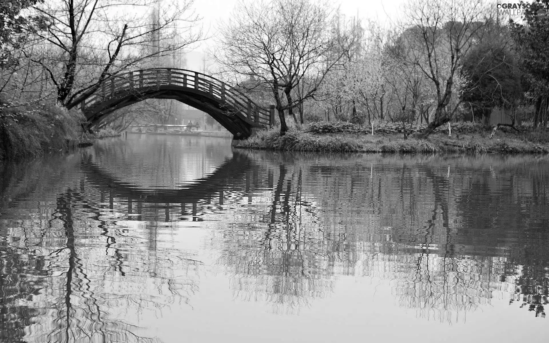 reflection, River, bridges