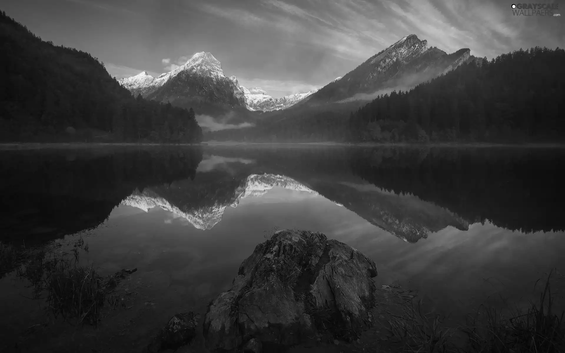 Fog, reflection, lake, woods, Mountains