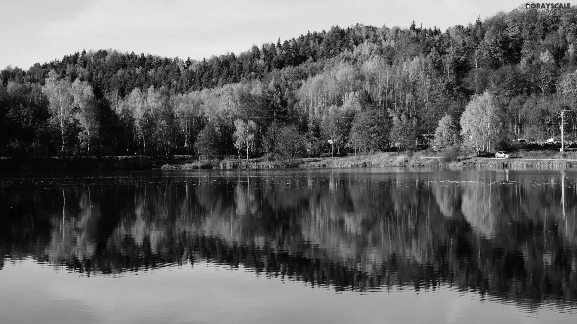 reflection, lake, woods