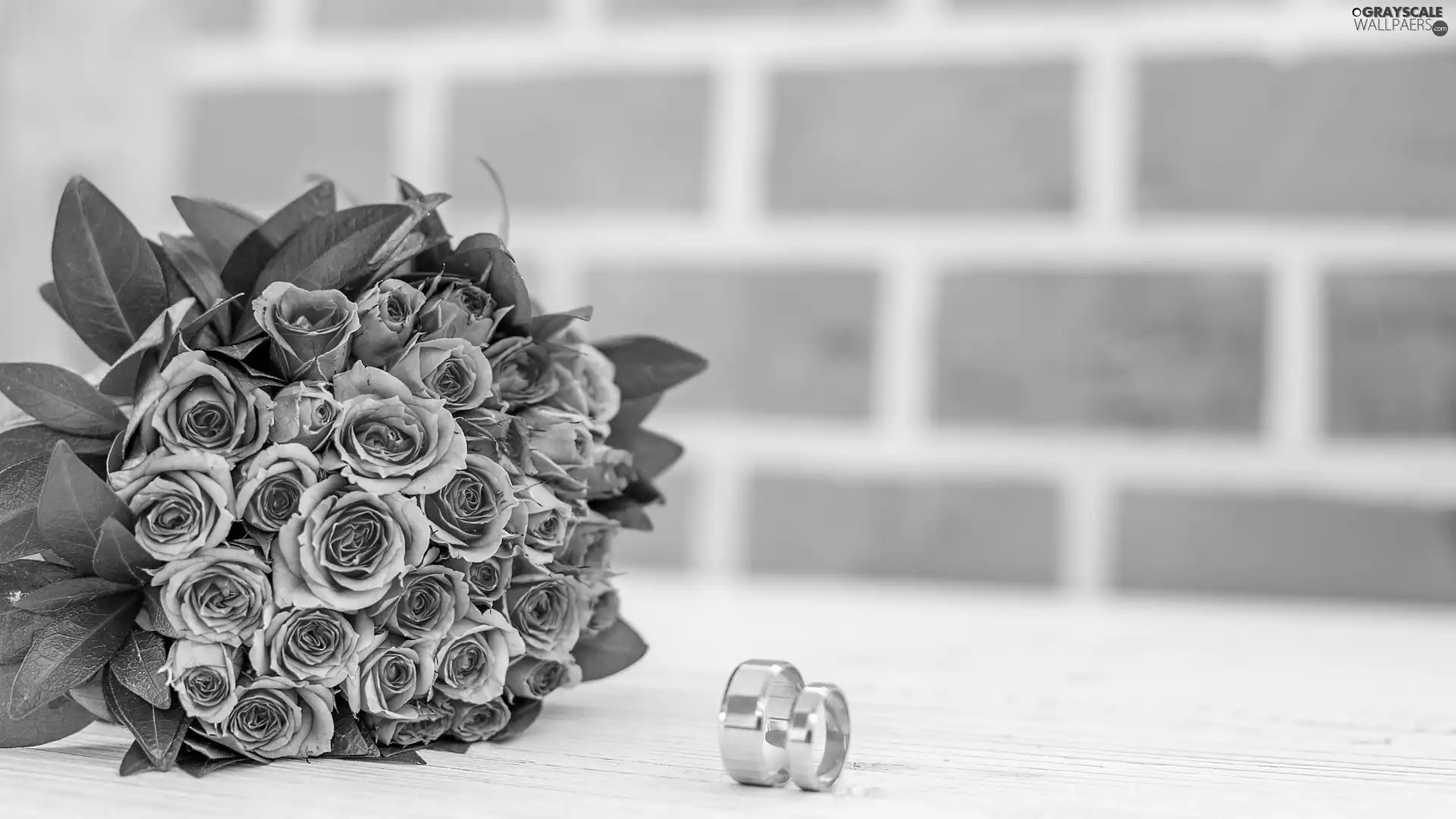jewellery, rings, roses, bouquet, Pink