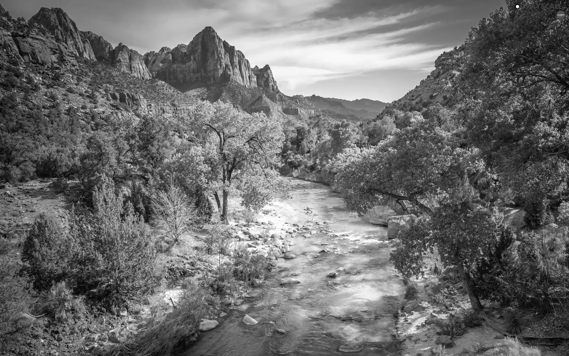 Stones, Mountains, trees, Utah State, viewes, Zion National Park, Mountain Watchman, The United States, clouds, Virgin River