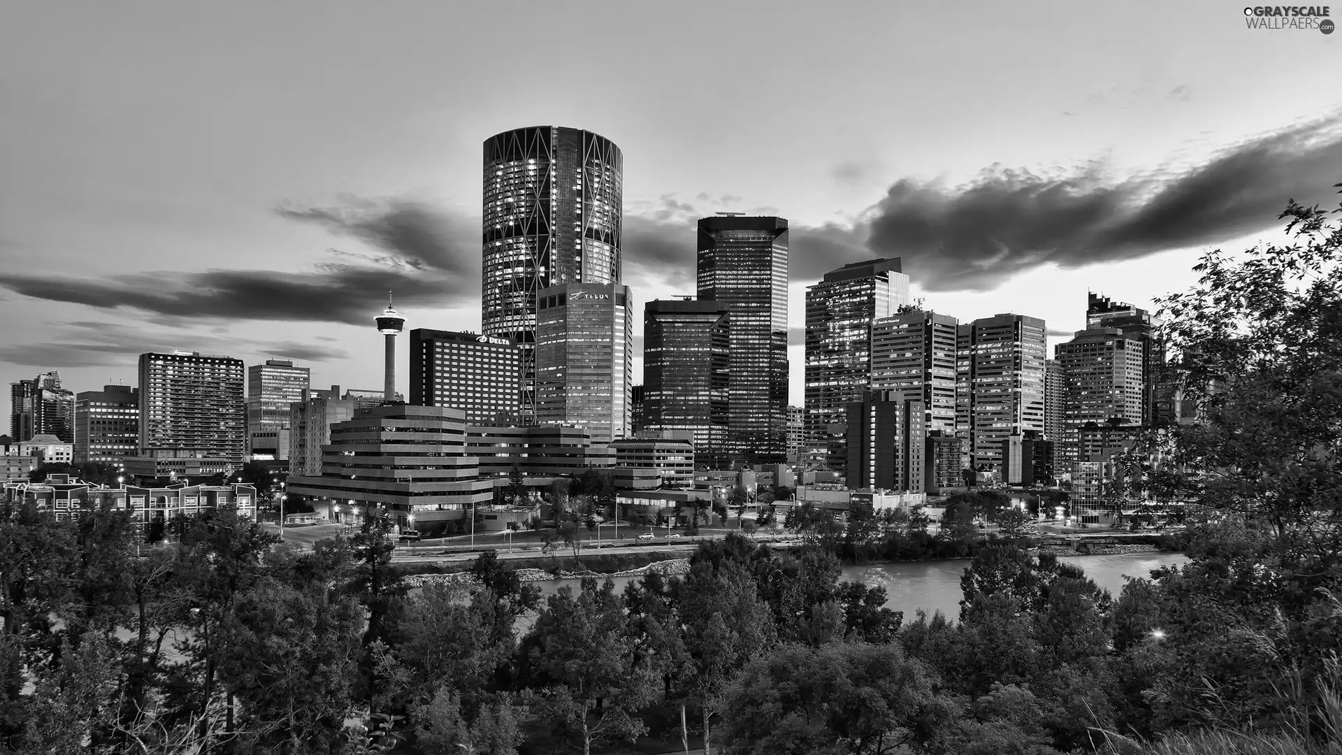 town, River, viewes, Bow, trees, panorama, Calgary, clouds