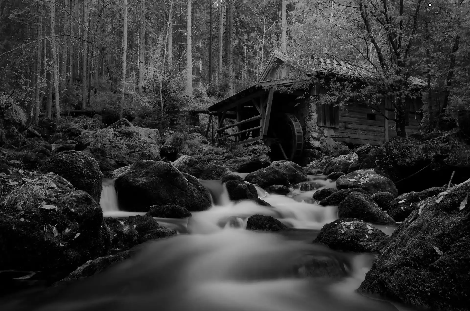 Watermill, Stones, forest, River