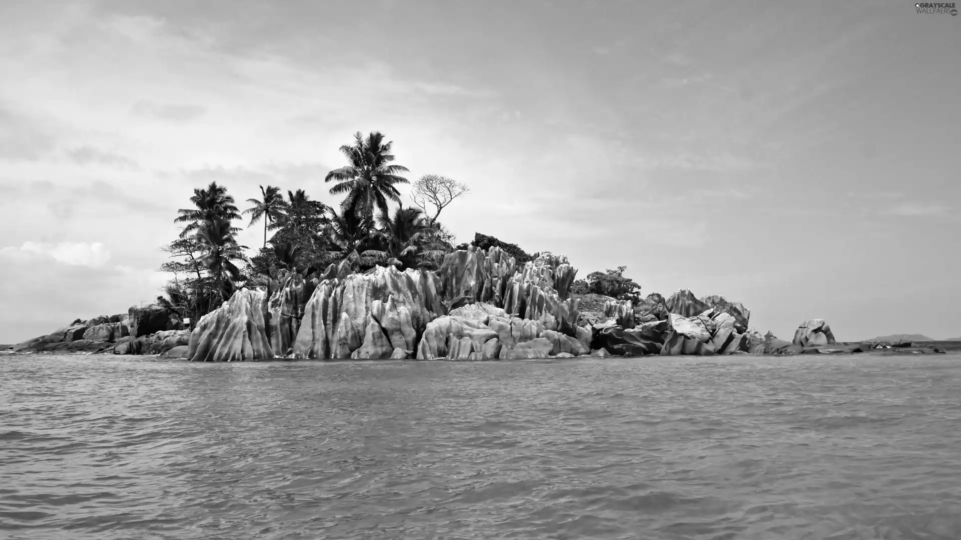 rocks, Palms, Waves, Island, sea