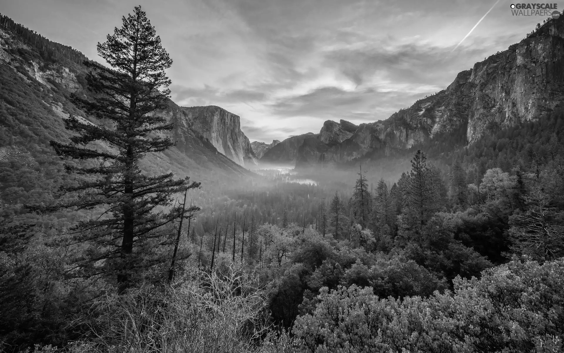 Fog, autumn, trees, California, viewes, Yosemite National Park, rocks, The United States, Mountains, Bush