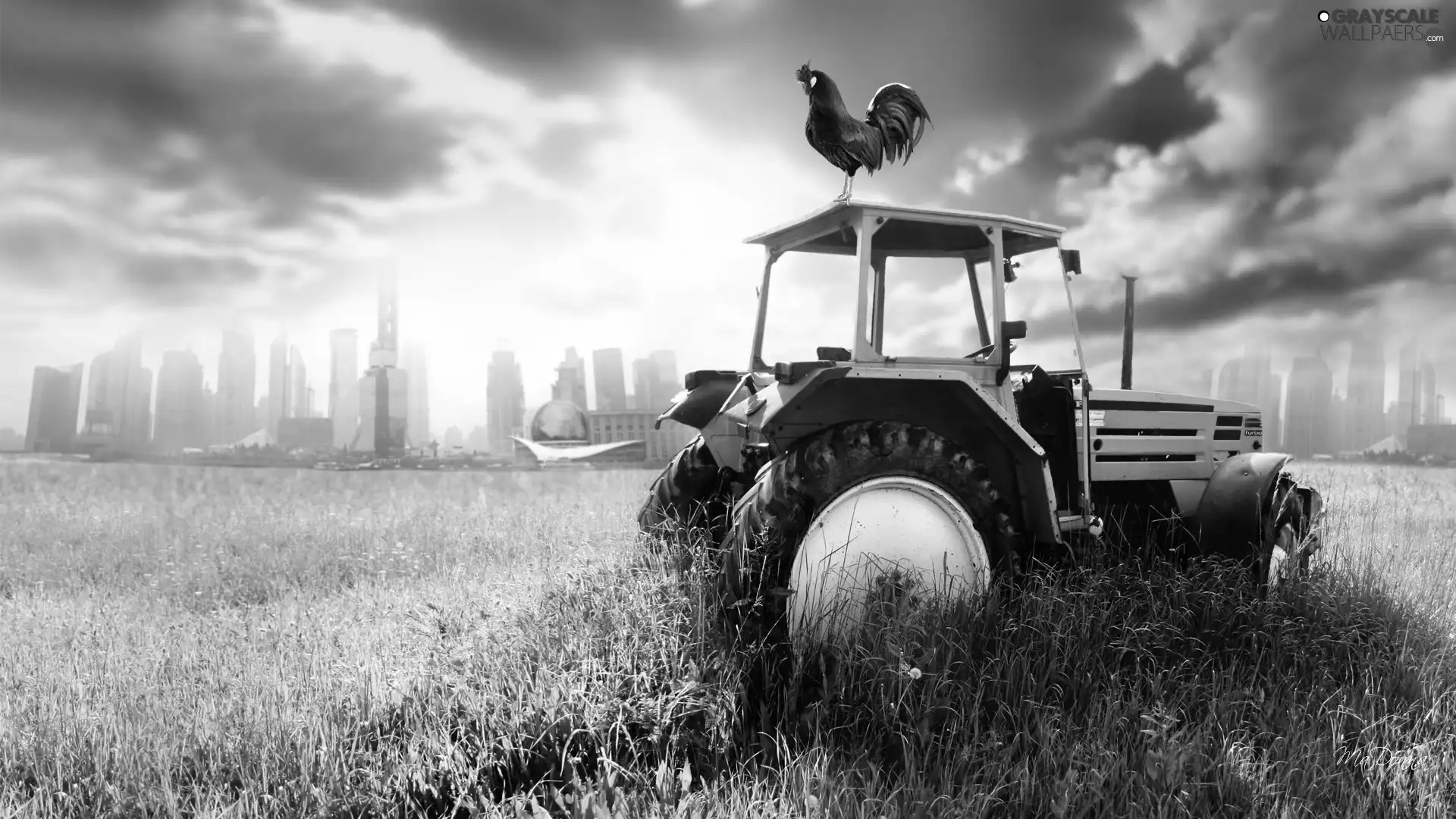 west, agrimotor, rooster, sun
