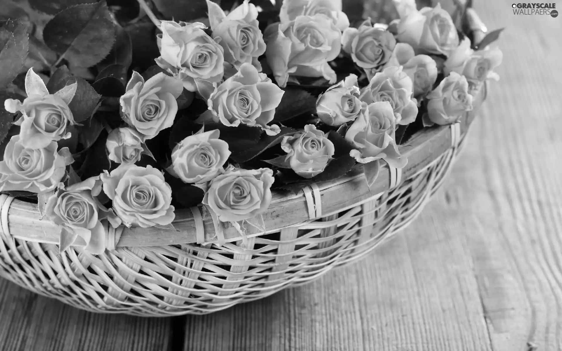roses, wicker, basket