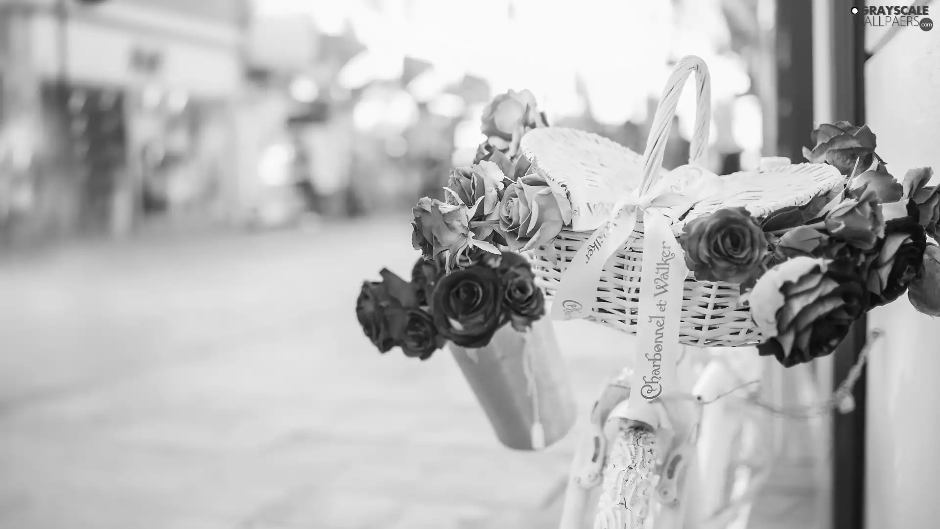 roses, blur, White, basket, Bike
