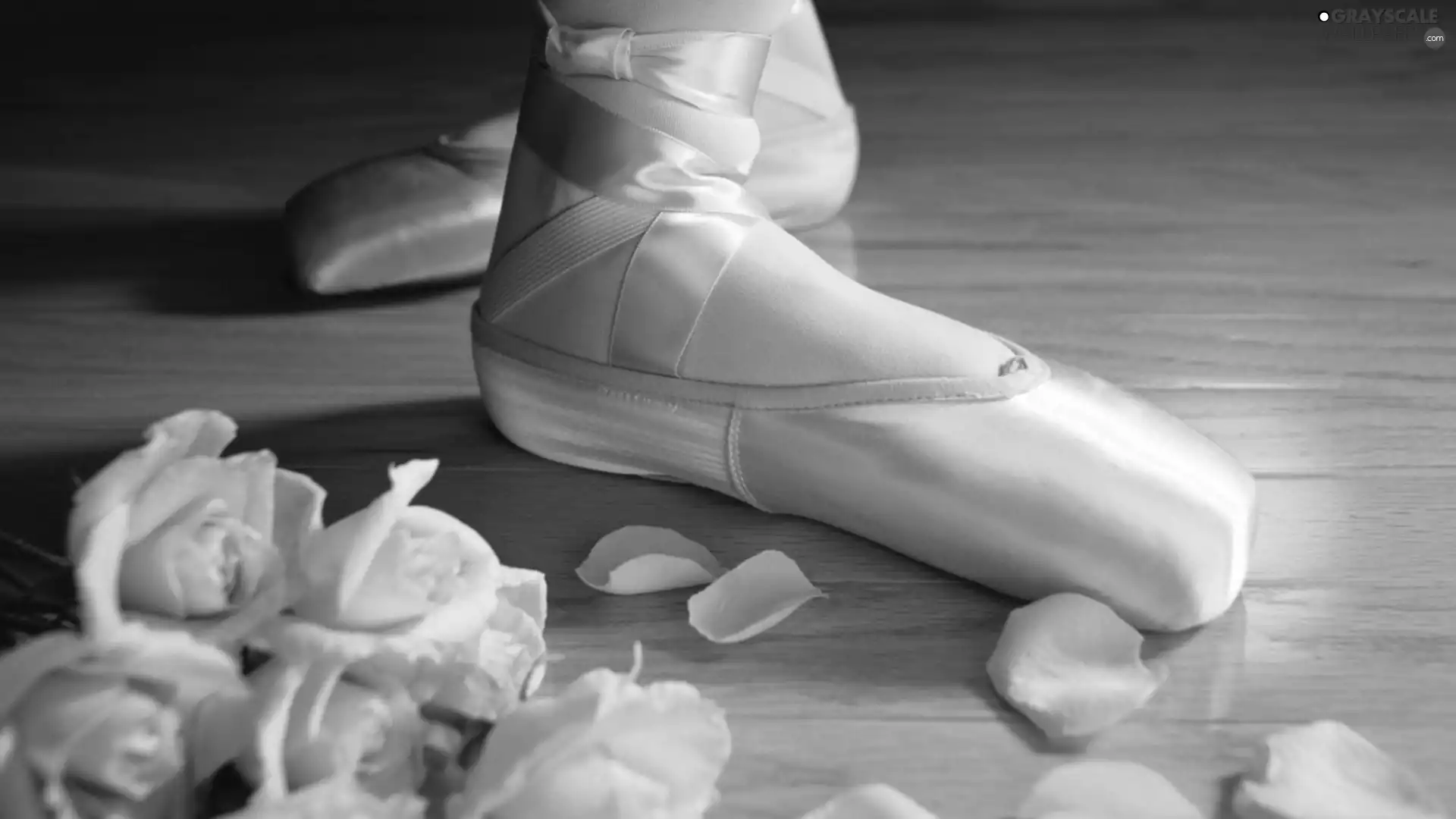 roses, foot, Dancers