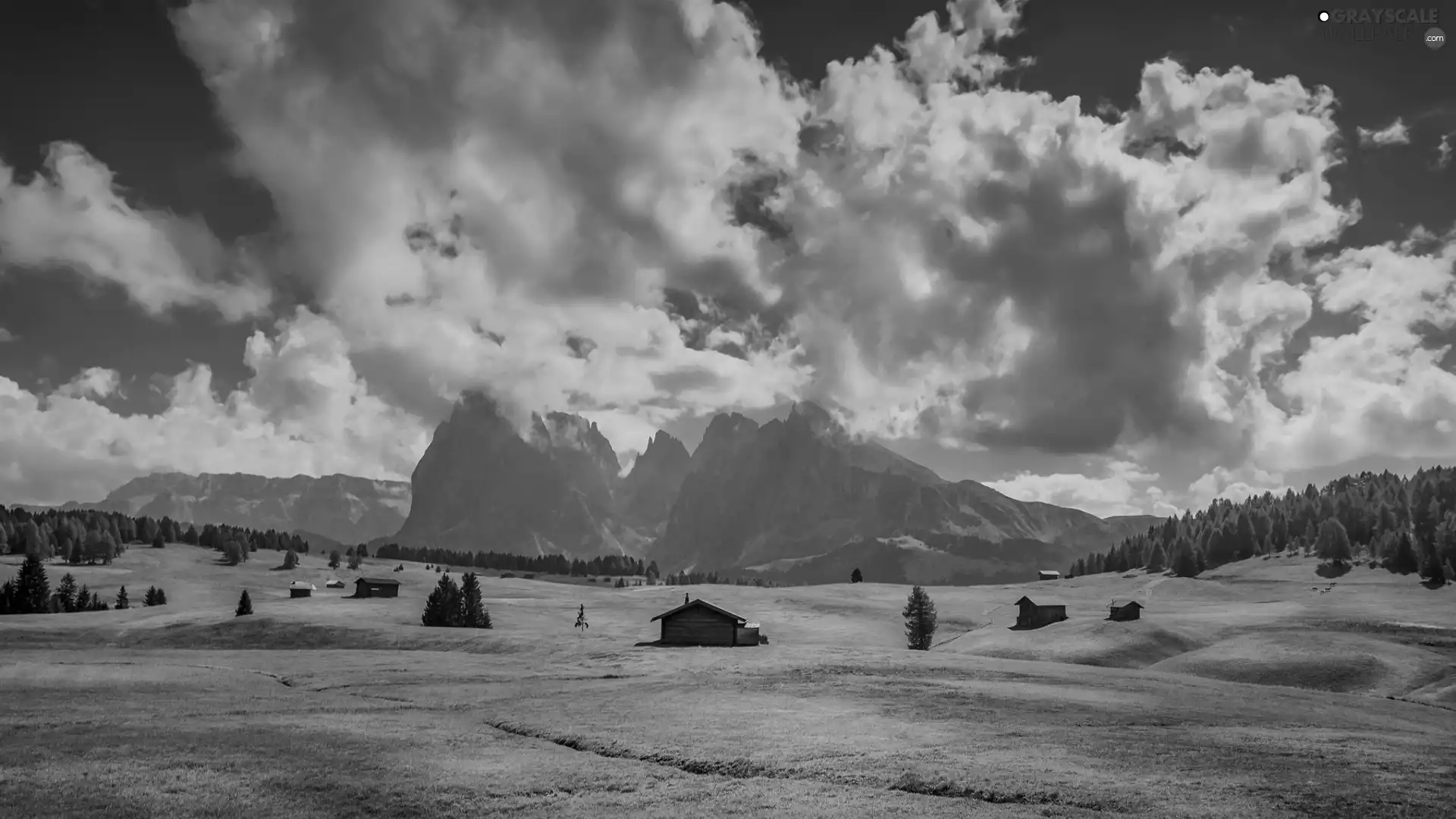Houses, Dolomites, Val Gardena Valley, clouds, trees, Sassolungo Mountains, Seiser Alm Meadow, Italy, medows, viewes