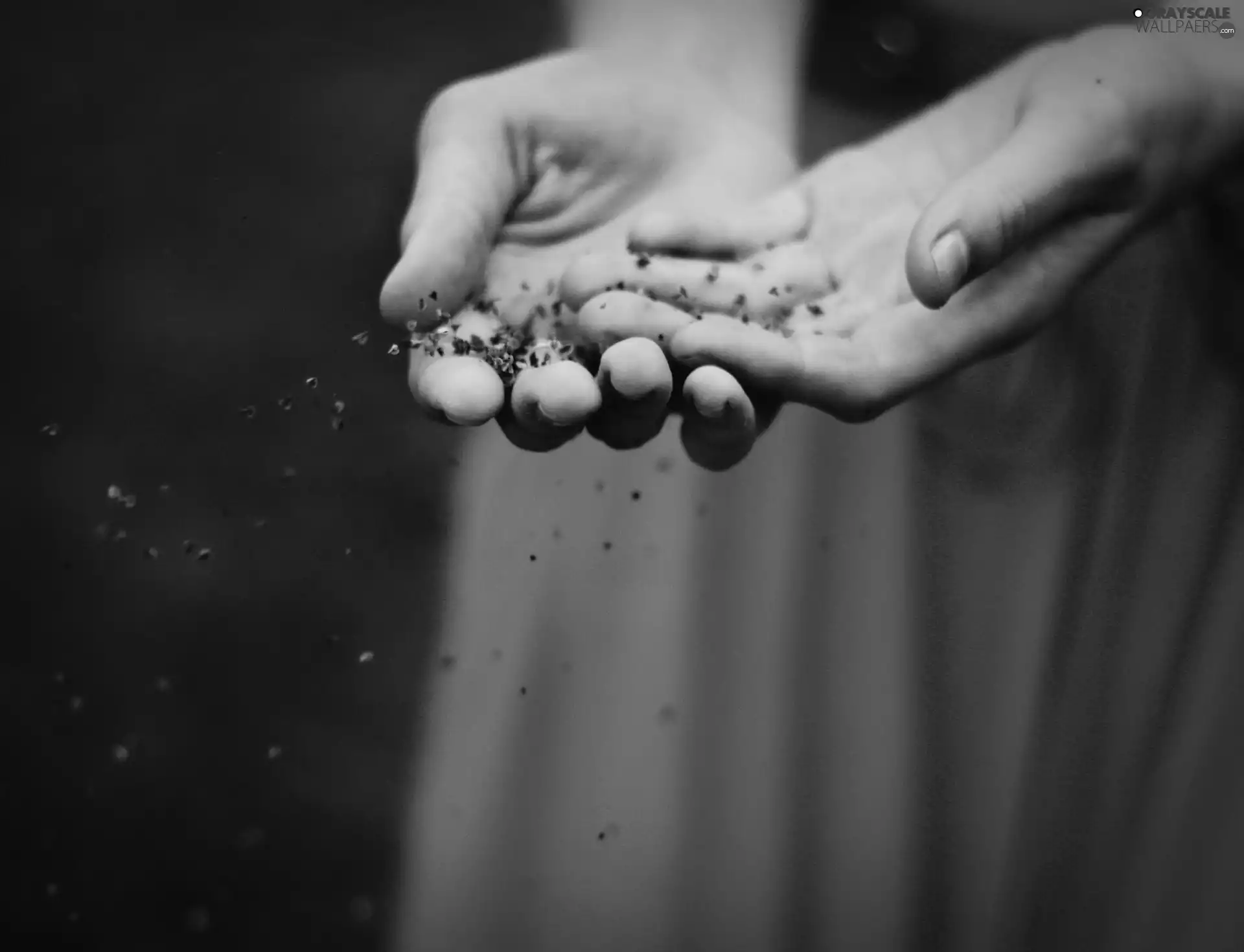 hands, Seeds