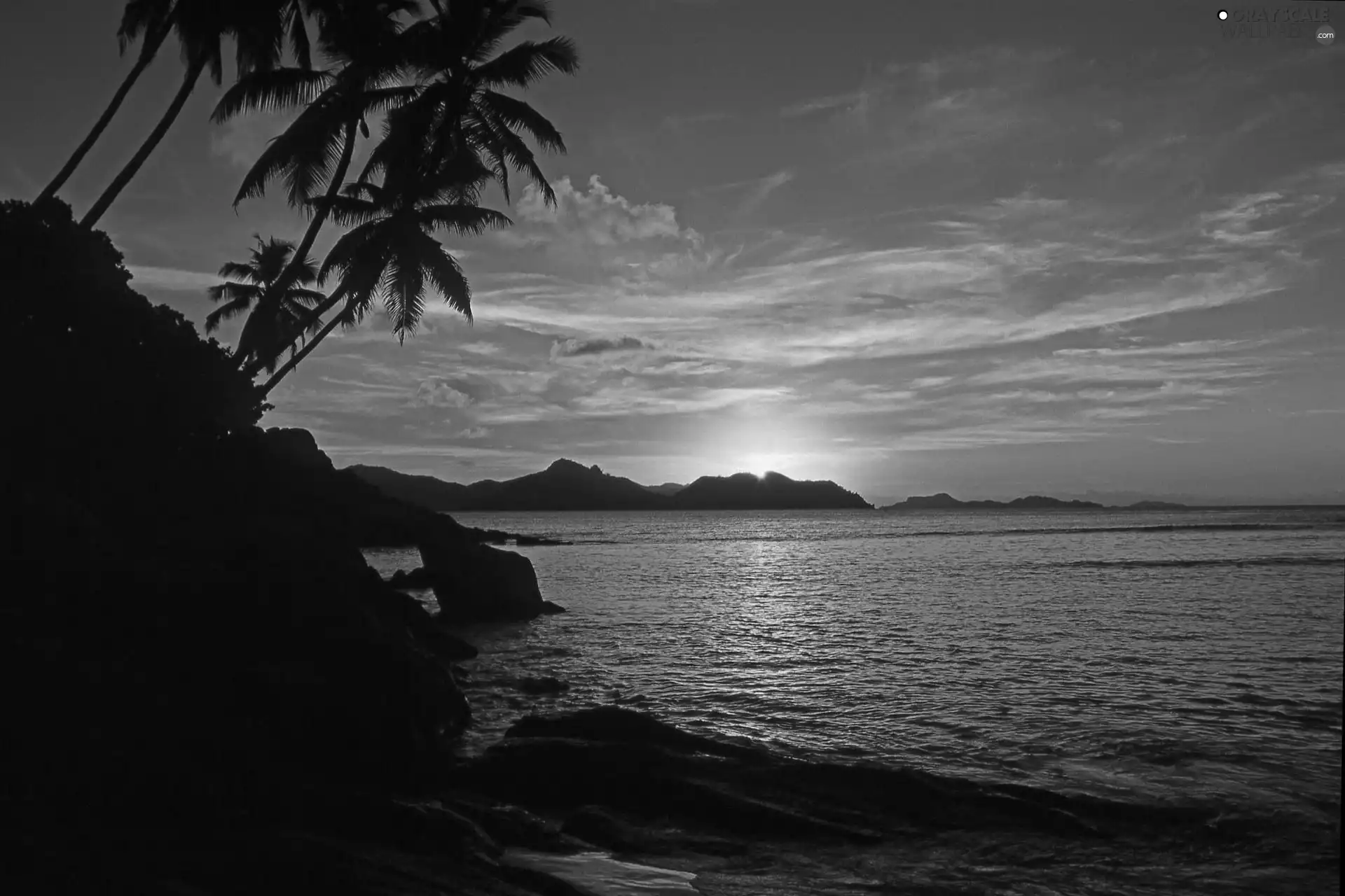 sea, Great Sunsets, Seychelles, Palms