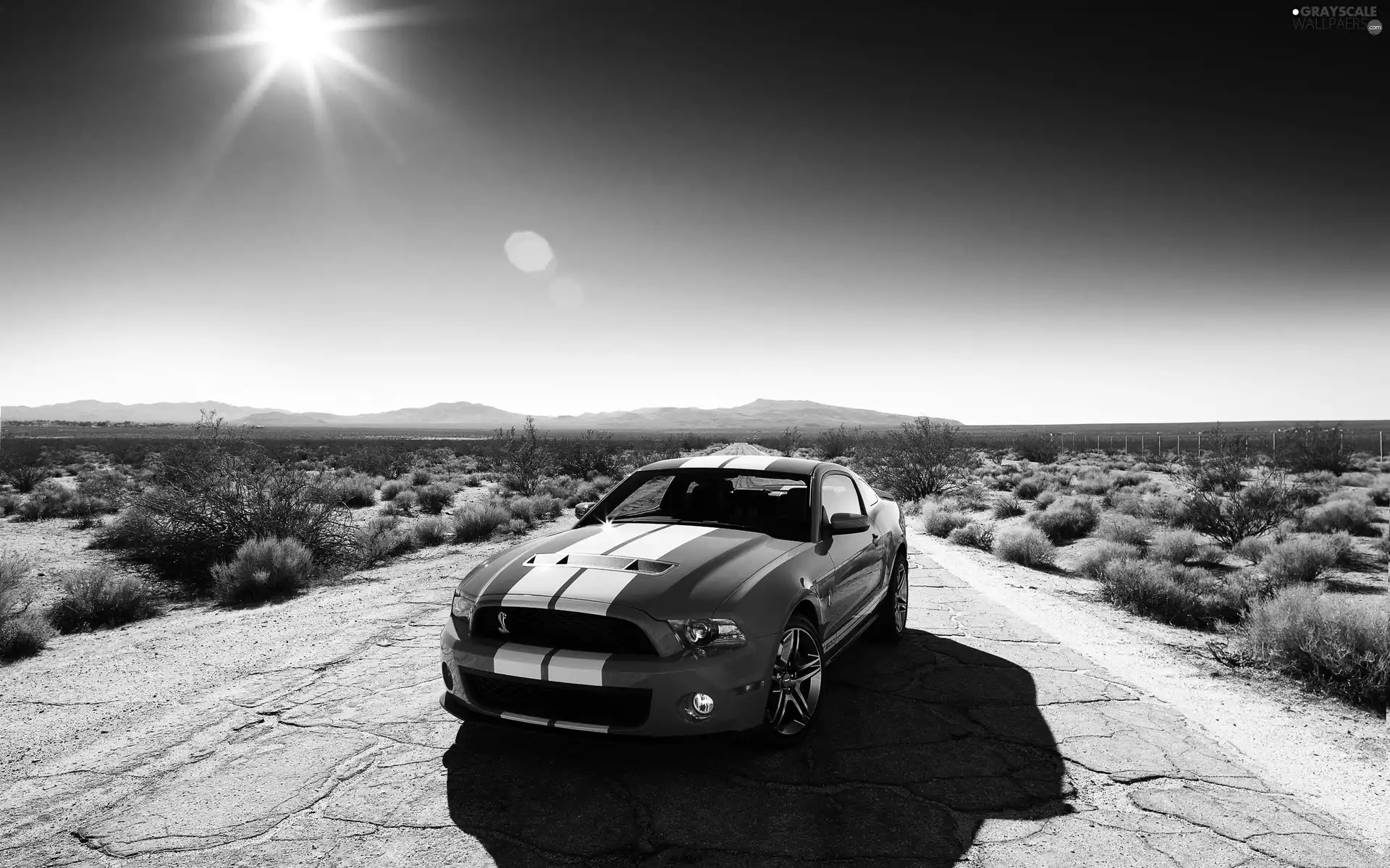 Desert, Ford Mustang, Shelby