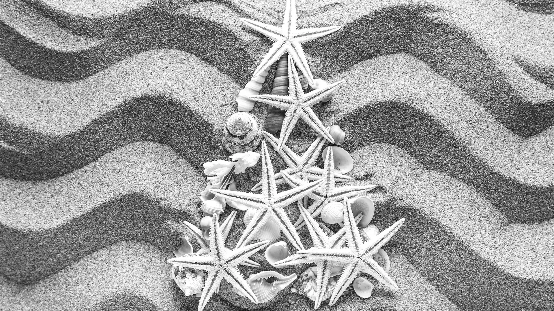 christmas tree, Christmas, Shells, starfish, Sand