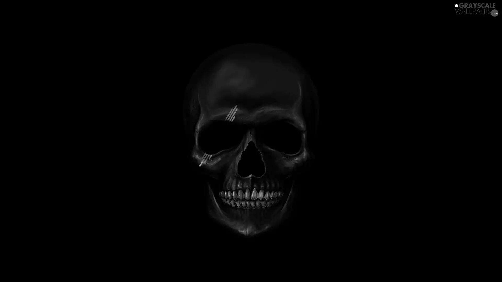 skull, black background