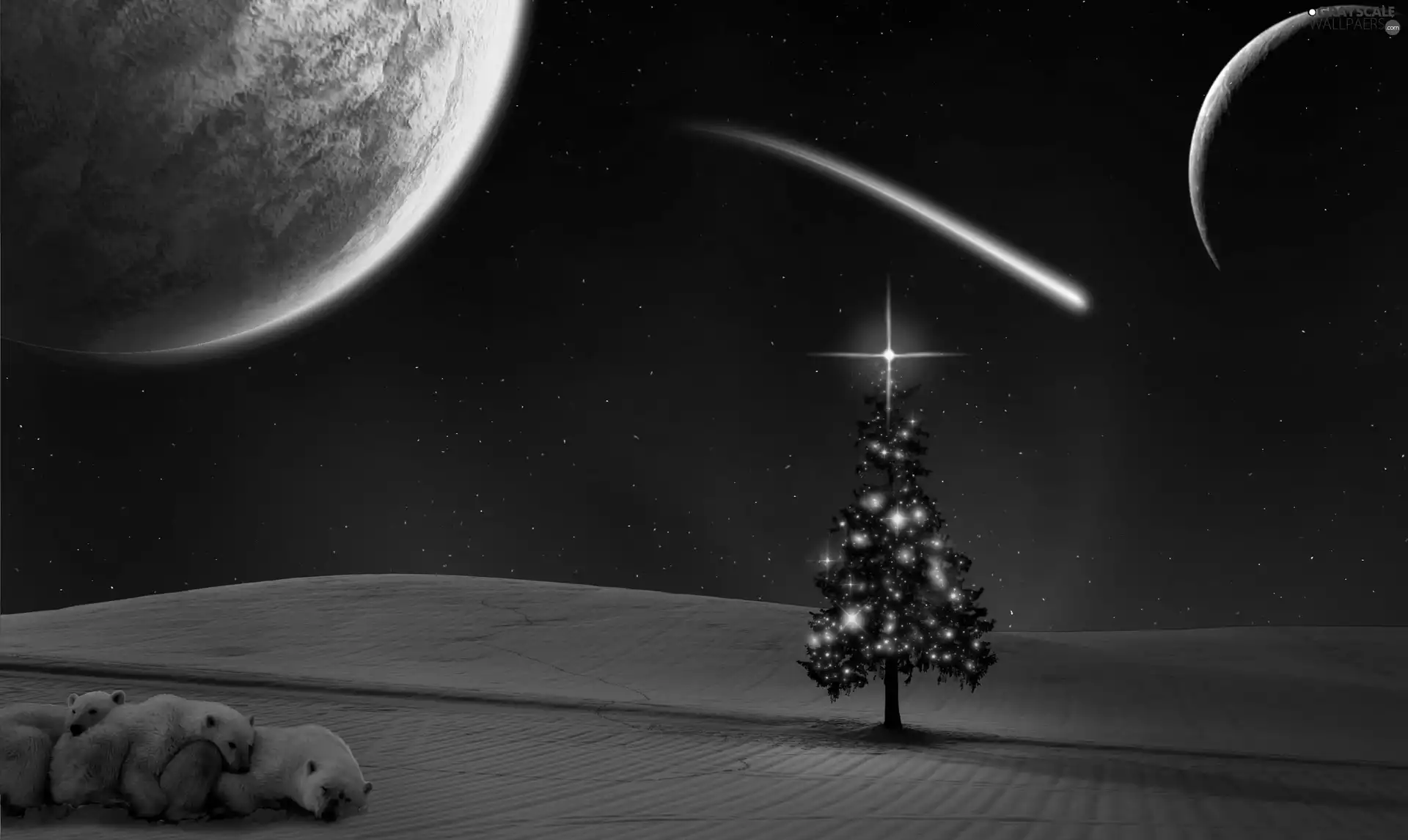 christmas, bears, Sky, christmas tree