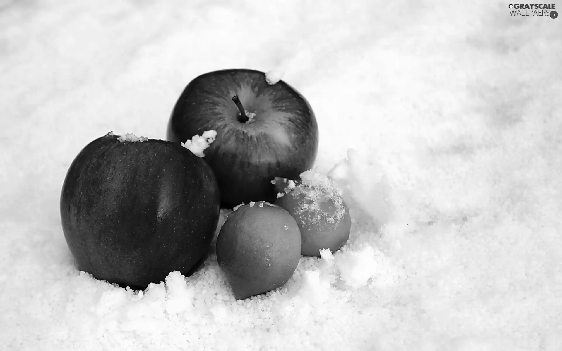 snow, apples, Amaranth
