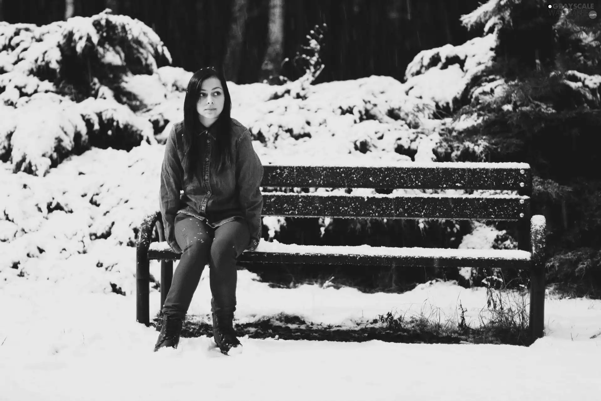 snow, Women, Bench