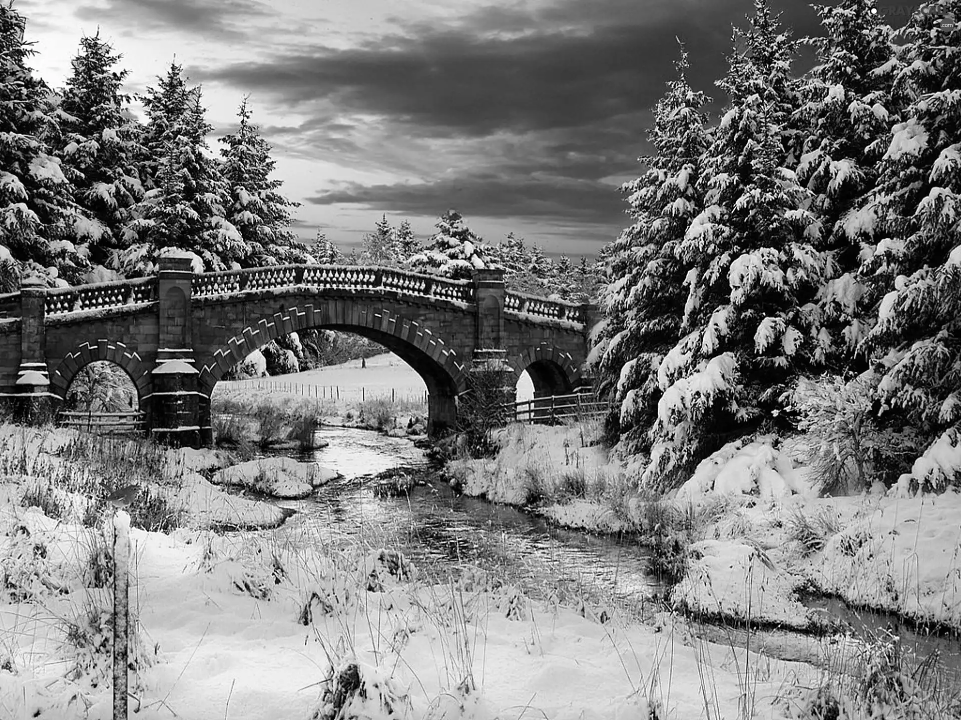 snow, bridge, trees, viewes, winter