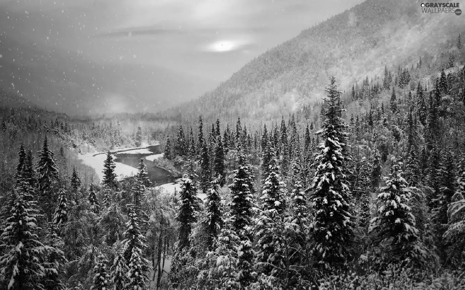 forest, Mountains, snow, River