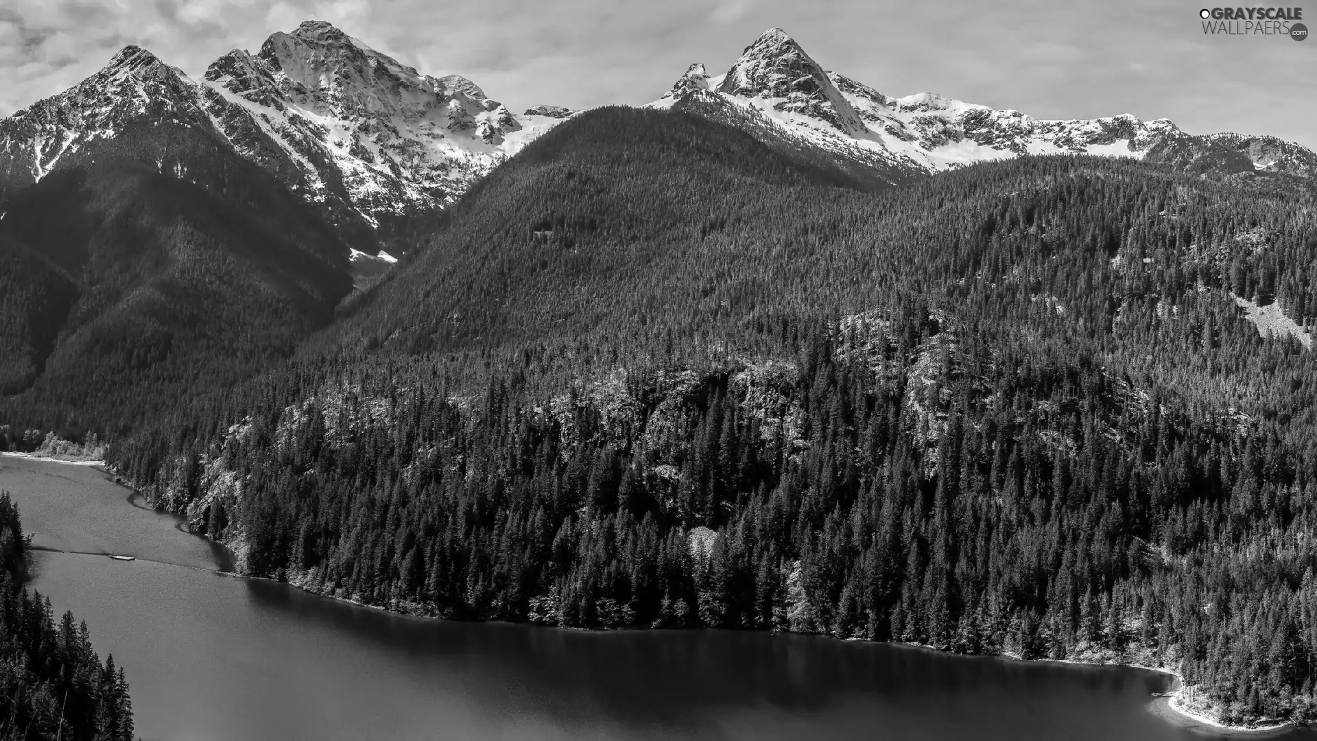 North Cascades National Park, Diablo Lake, The United States, woods, Washington State, Mountains