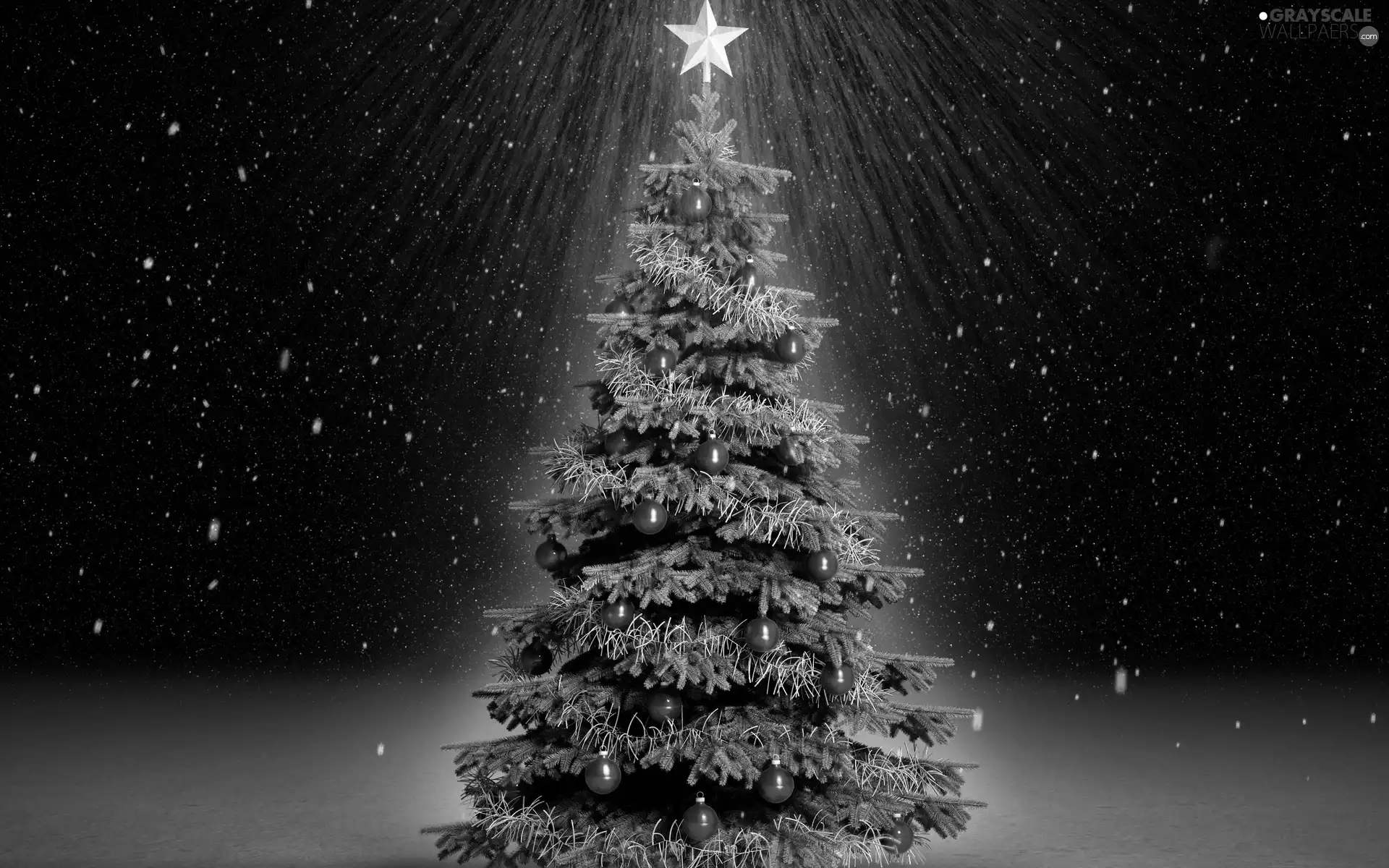 christmas tree, starfish, snow, Christmas