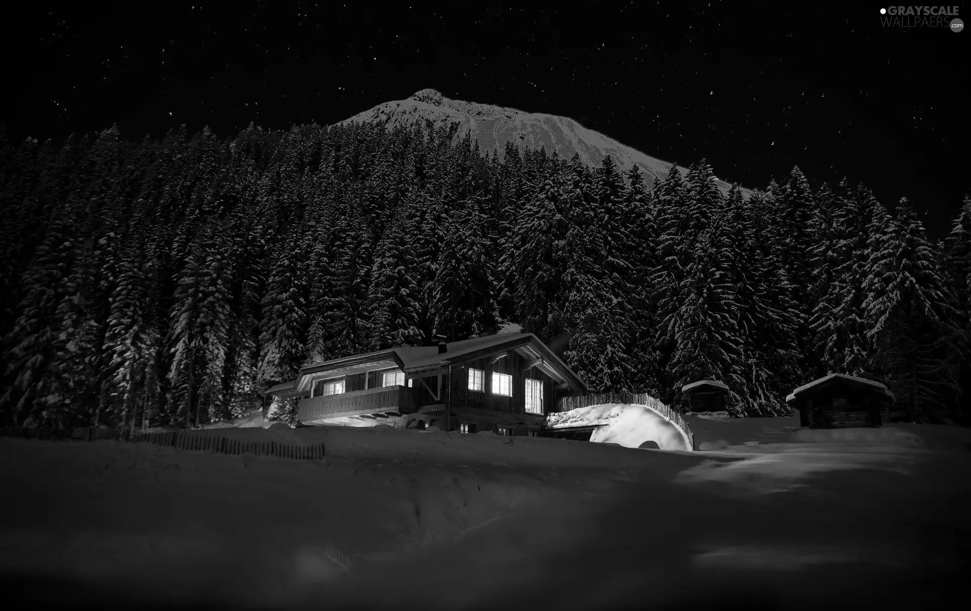 forest, trees, Mountains, viewes, Night, house, winter, star