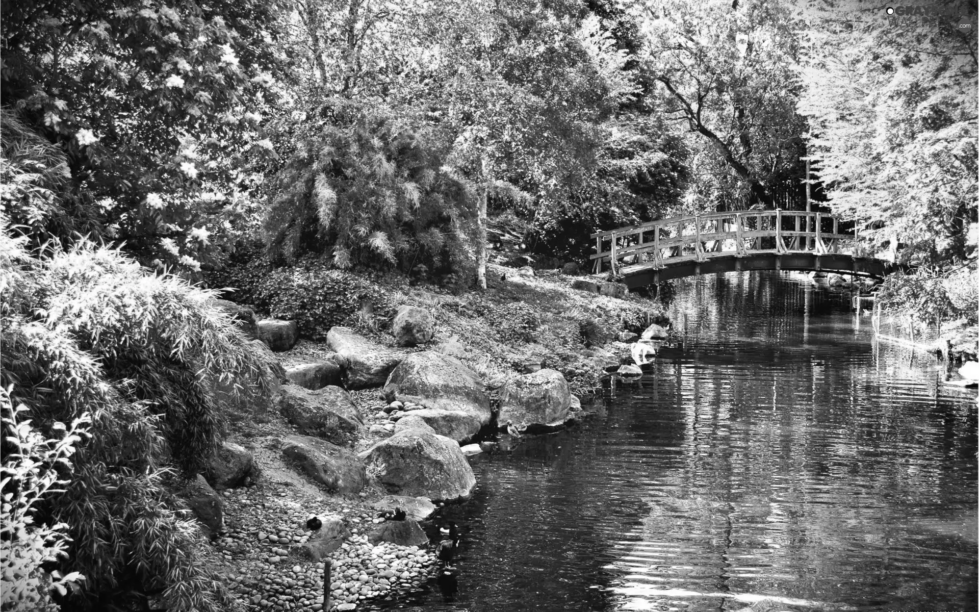 Stones, autumn, brook, bridges, Park