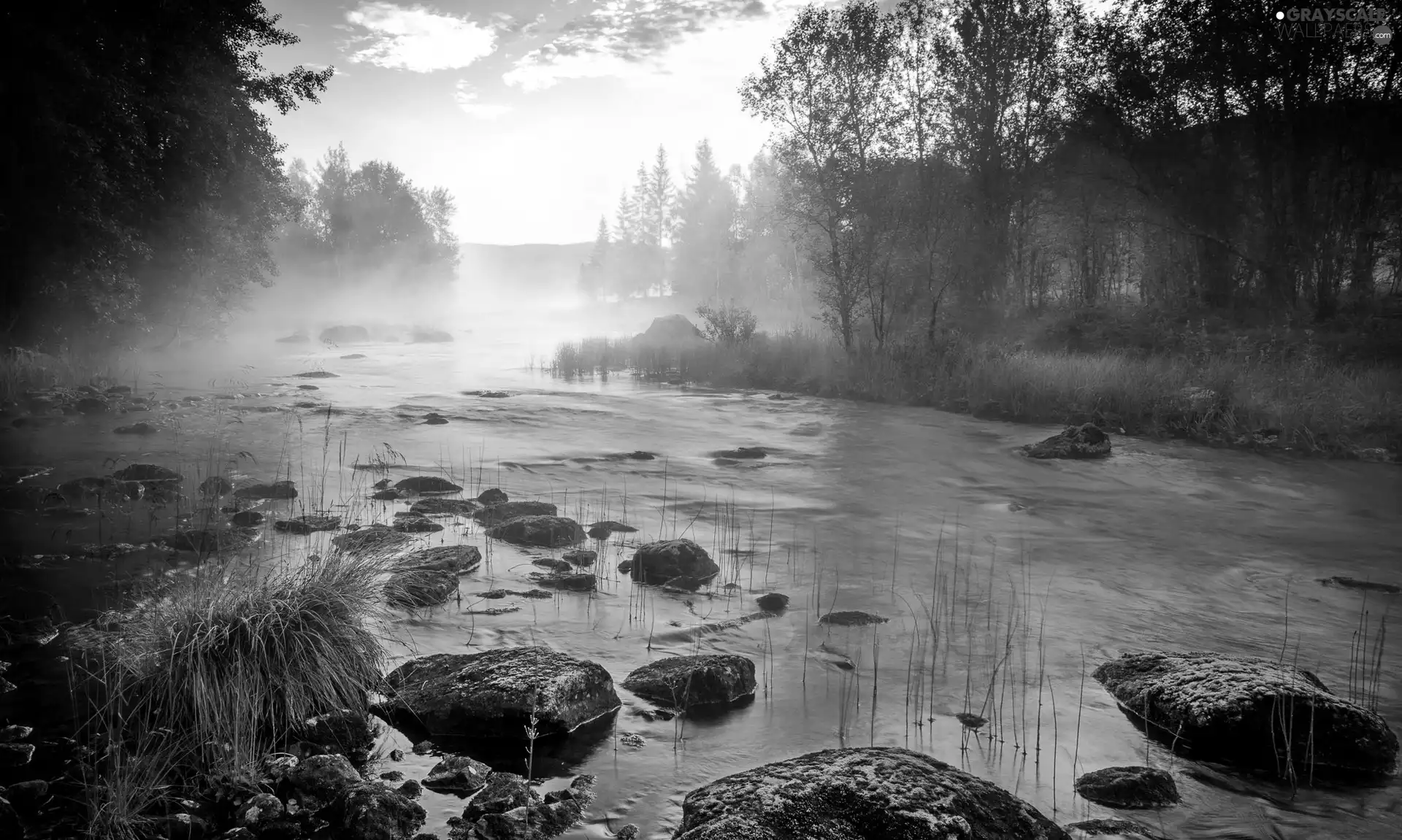 Stones, morning, Fog, mossy, River