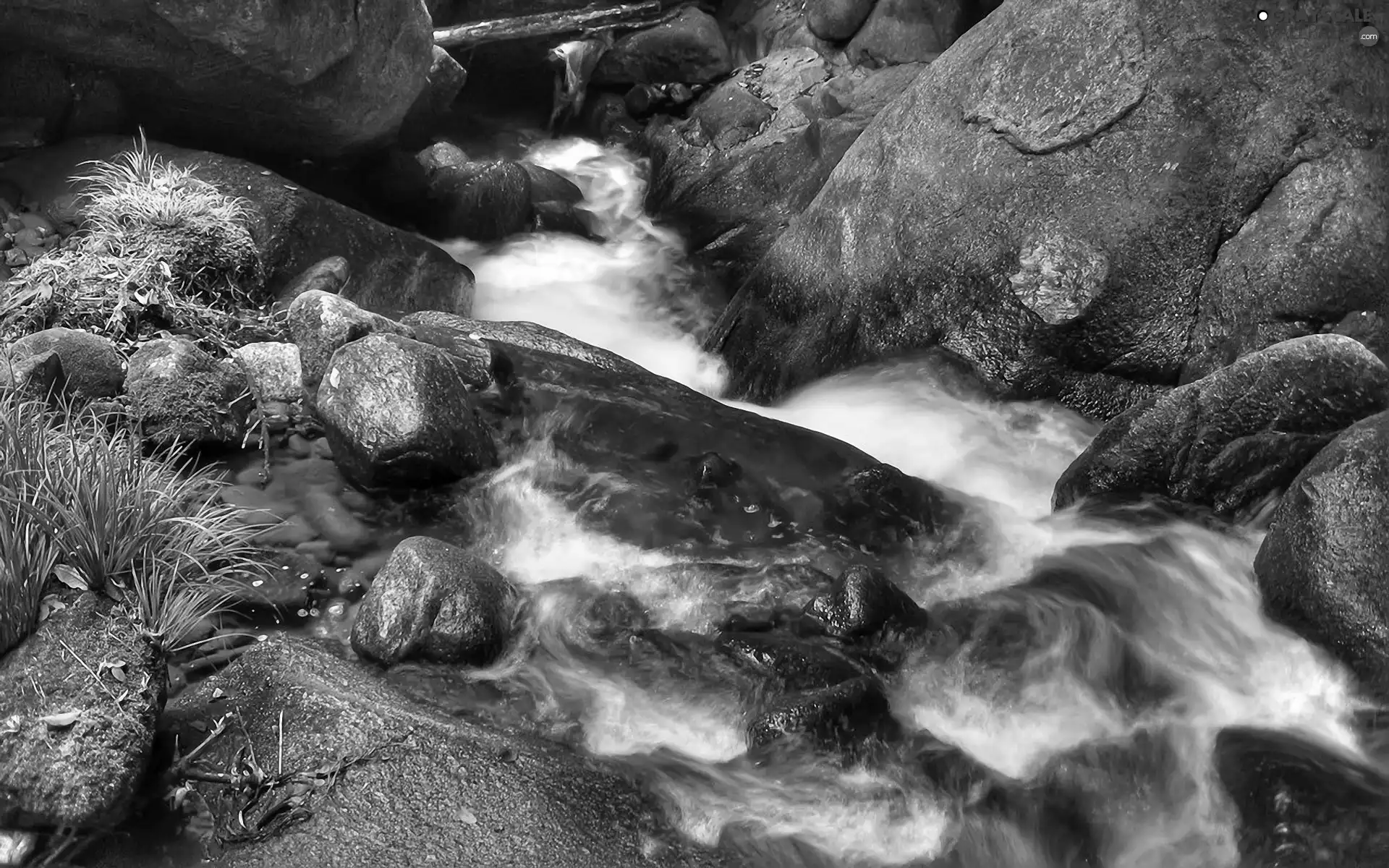River, Stones