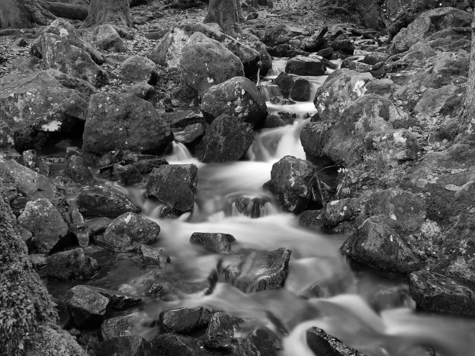 stream, mossy, Stones, cascade