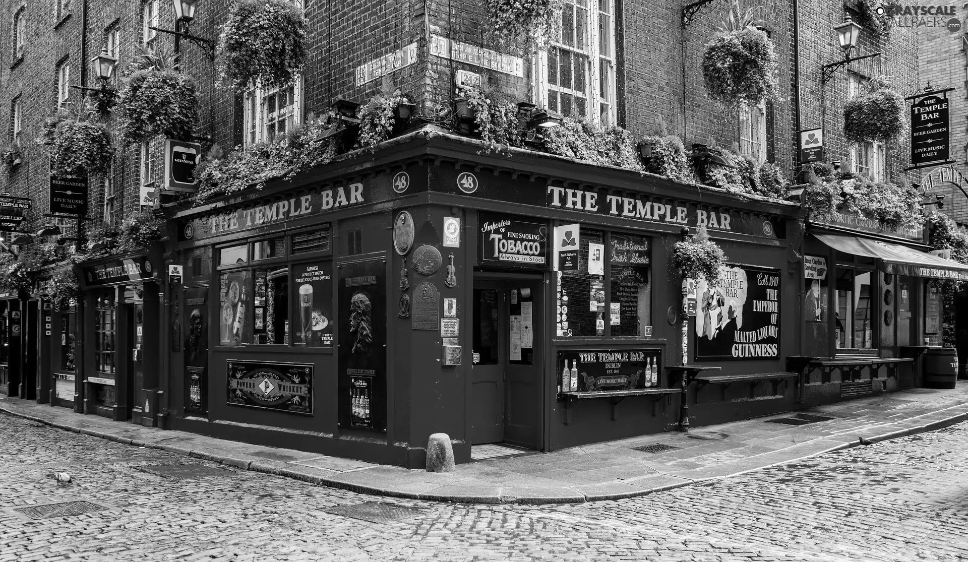 Bar, Ireland, house, Street, Red, Dublin