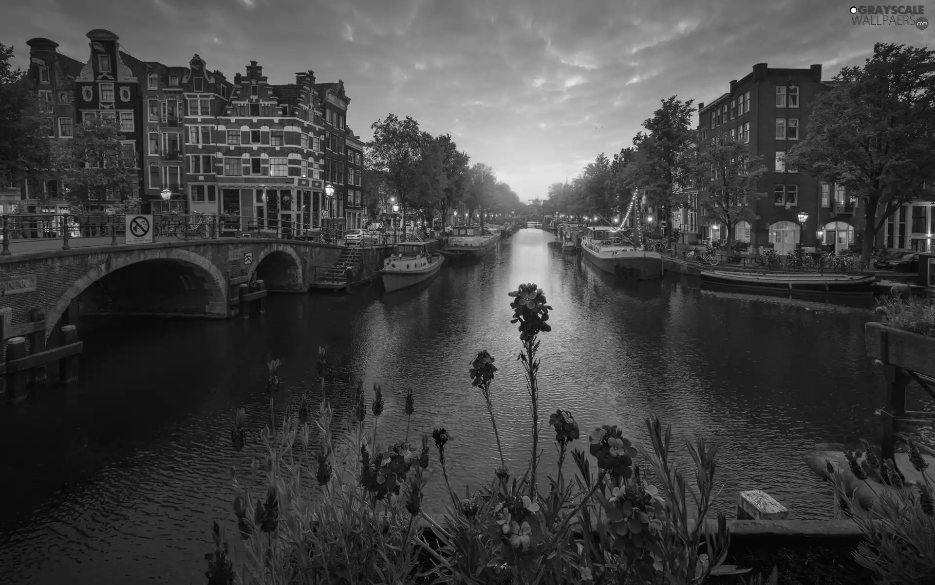 canal, Amsterdam, Flowers, Houses, Netherlands, bridge, Great Sunsets