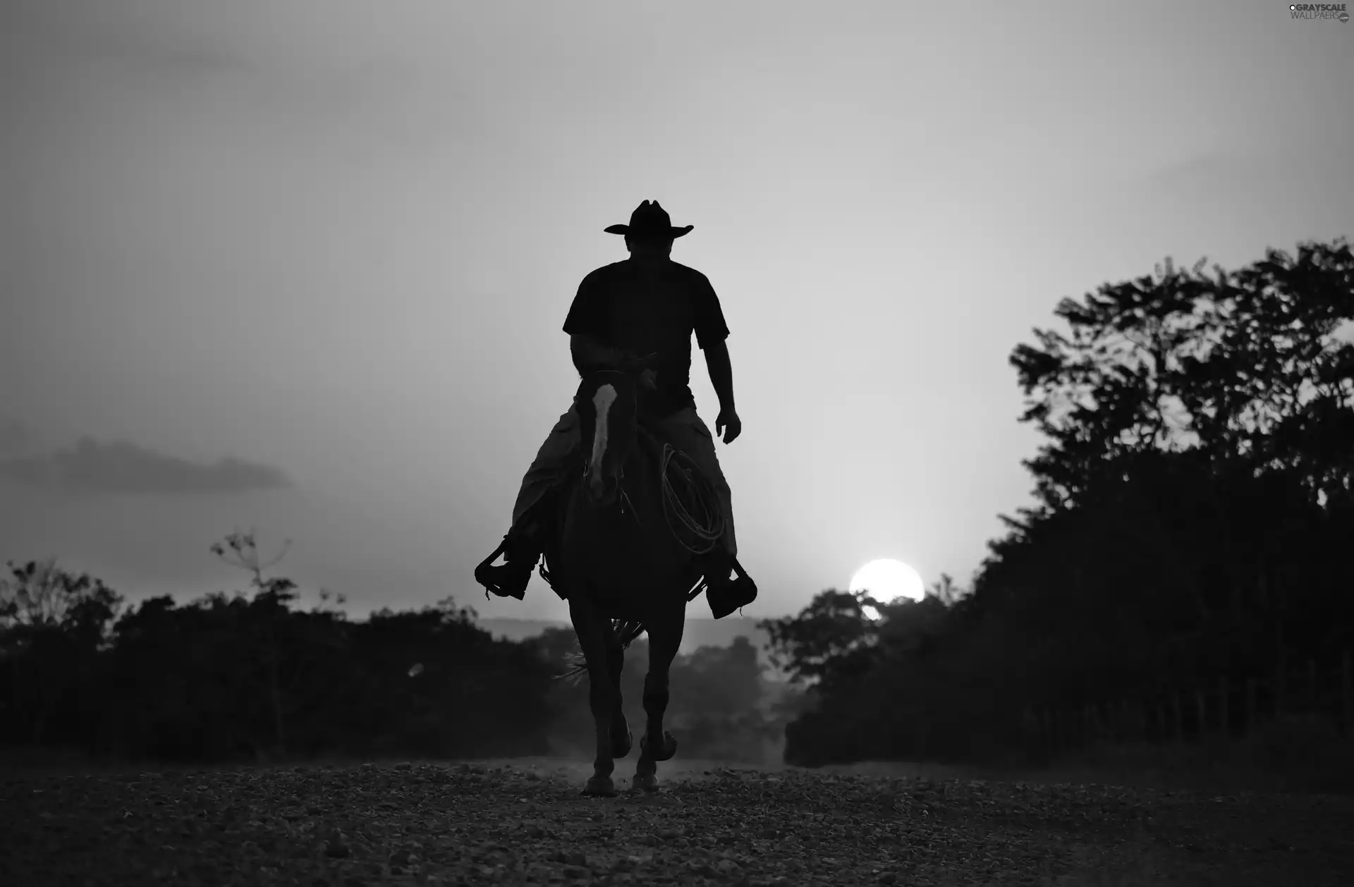 figure, rider, viewes, cowboy, Horse, trees, Great Sunsets