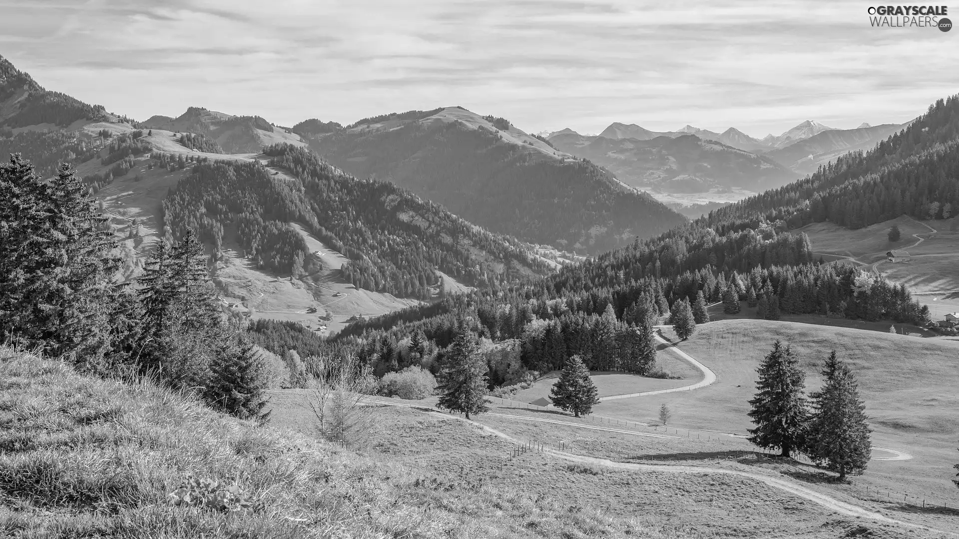 viewes, Way, The Hills, trees, Mountains, Meadow, Switzerland